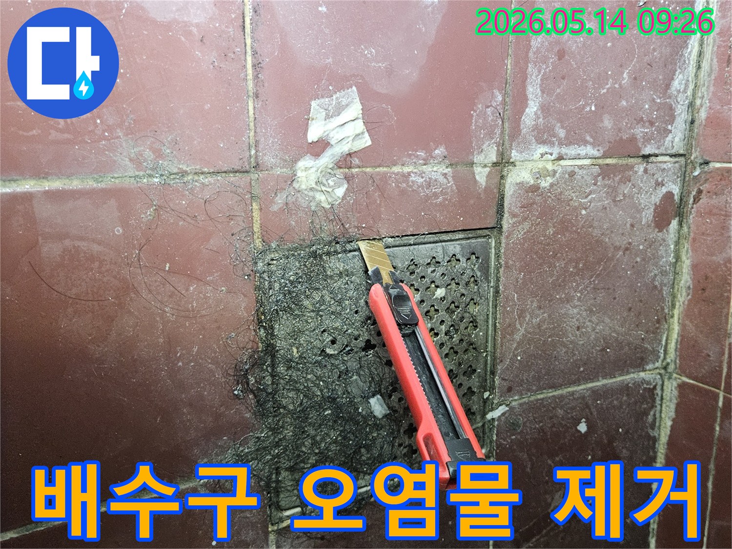 오래된 욕실 타일 바닥의 배수구에 엉킨 머리카락과 슬러지를 커터칼로 긁어내며 오염 문제를 해결하는 모습