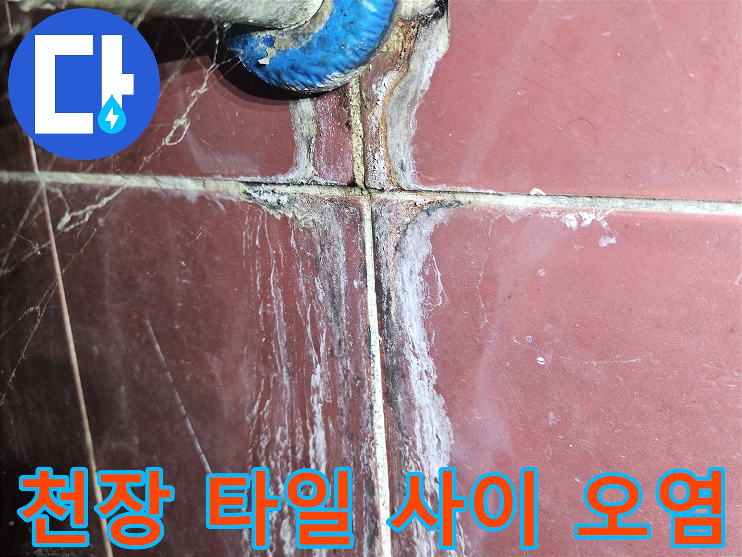 타일 줄눈과 배관 주변의 곰팡이 및 물기 흔적