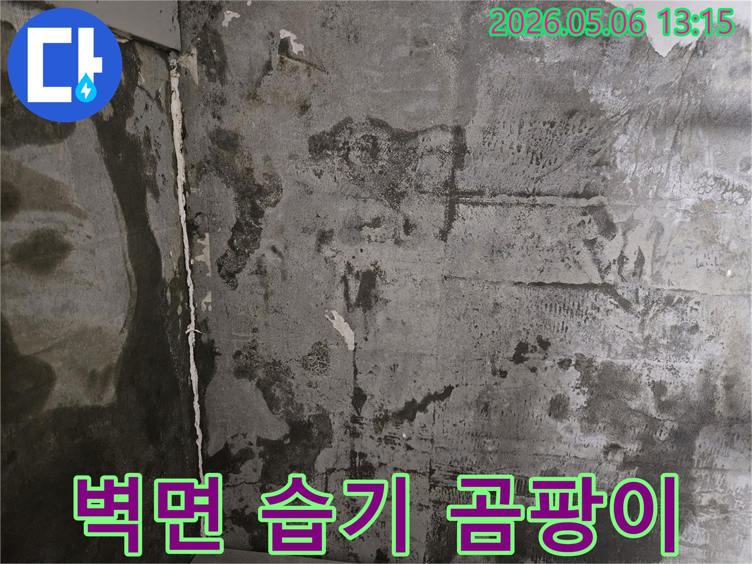 누수로 인해-벽면 전체에 습기가 차고-검은 곰팡이가 심하게 번진-아파트 벽의 모습