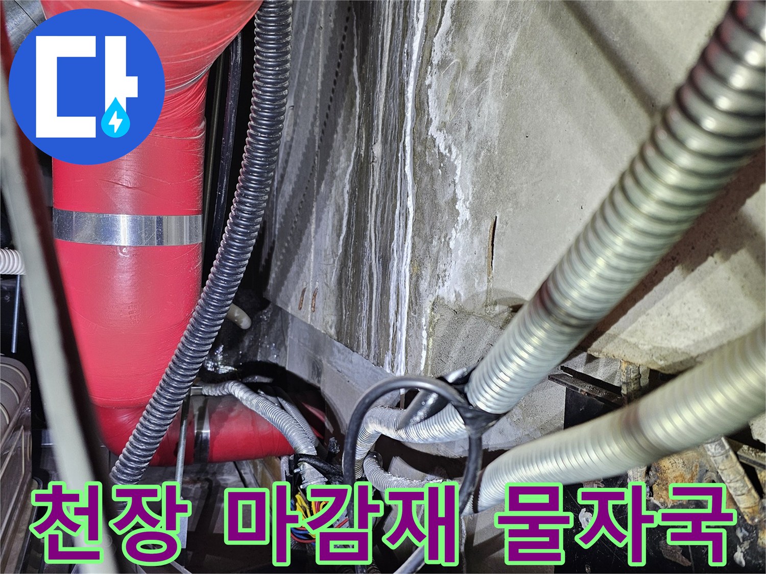 천장 배관 및 전선관 주변의 젖은 얼룩 부위