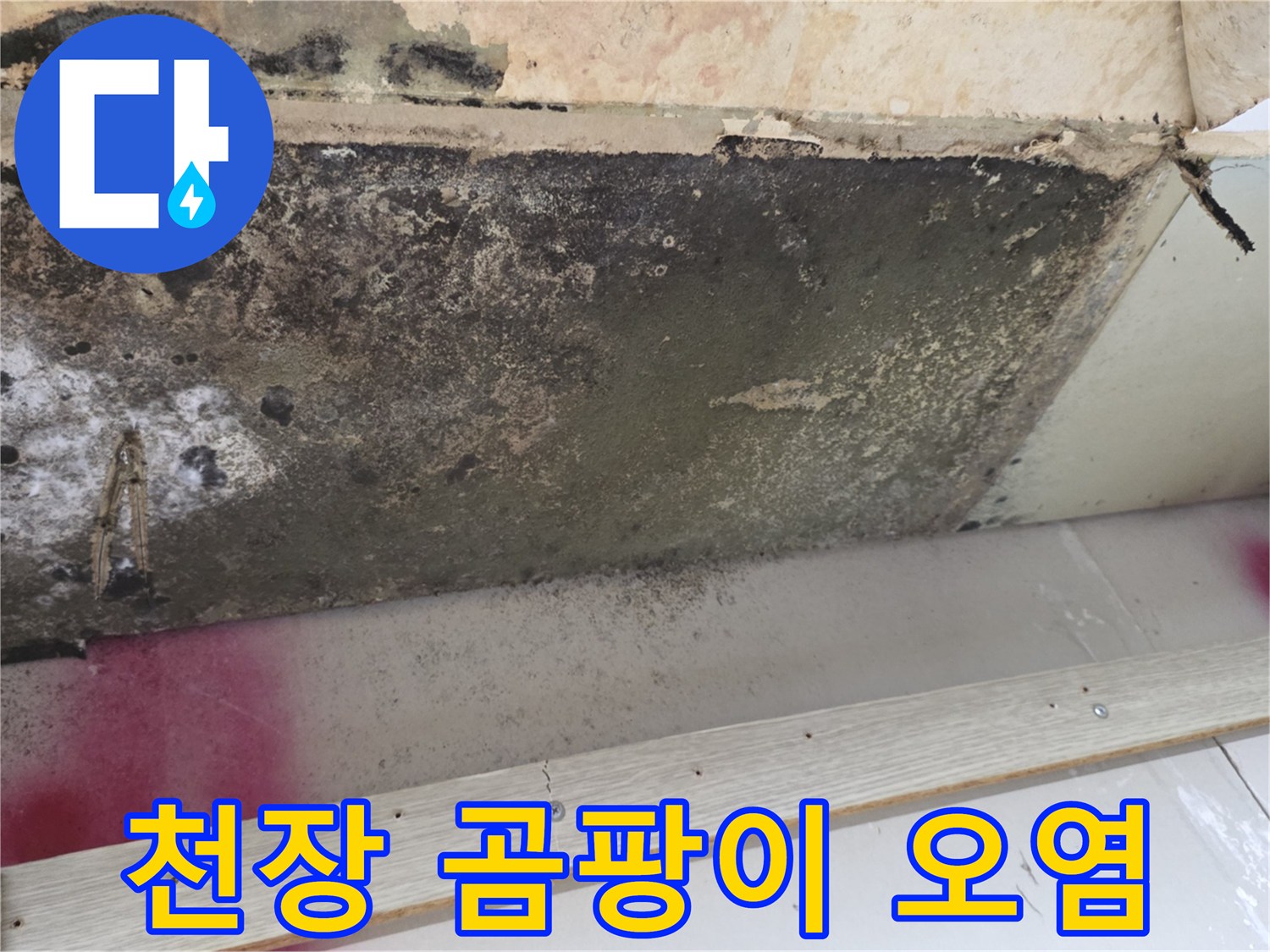 도봉구 현장-누수로 인해 검게 변한 천장 마감재