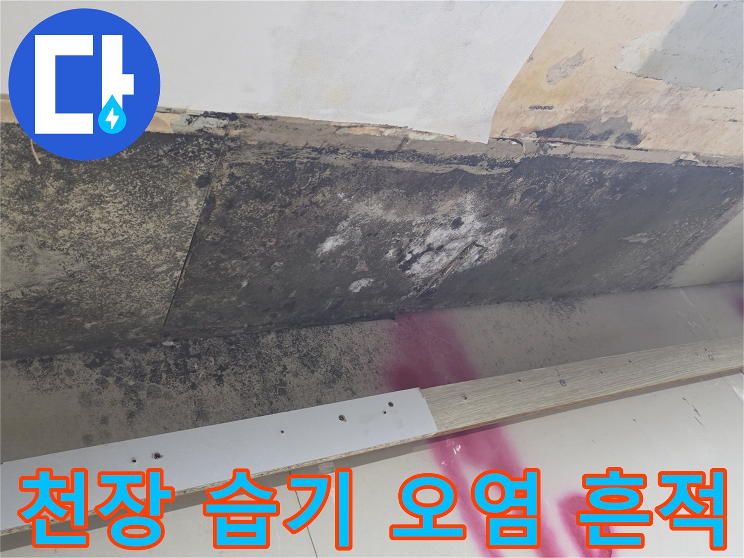 물샘 현상으로 인한-주방 천장 마감재의 곰팡이 오염