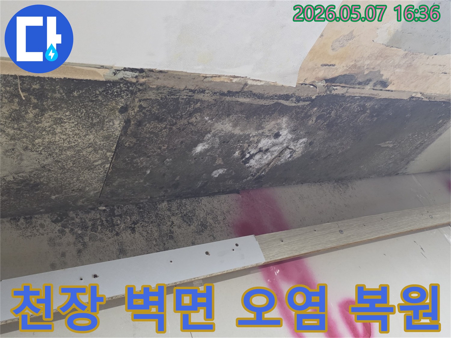 천장-누수로-인해-오염된-벽면과-마감재의-상태를-확인하며-복원-계획을-수립하는-모습