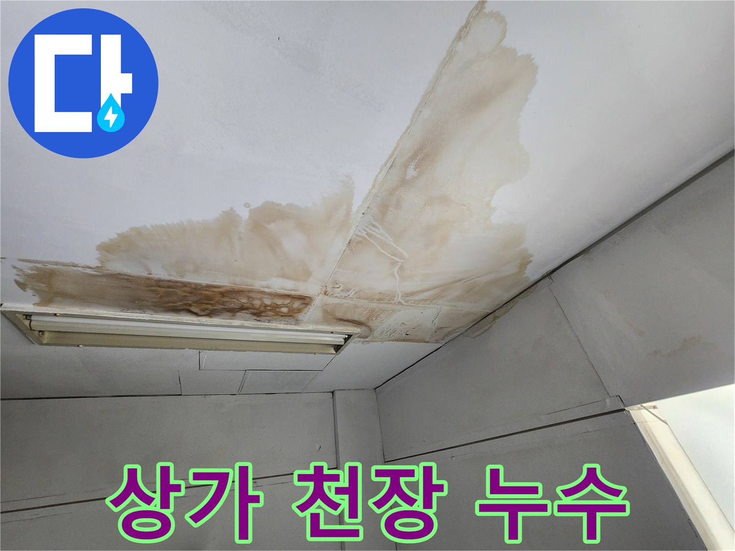상가 천장 표면에 물이 새어 발생한 갈색 얼룩과 곰팡이가 확산된 모습