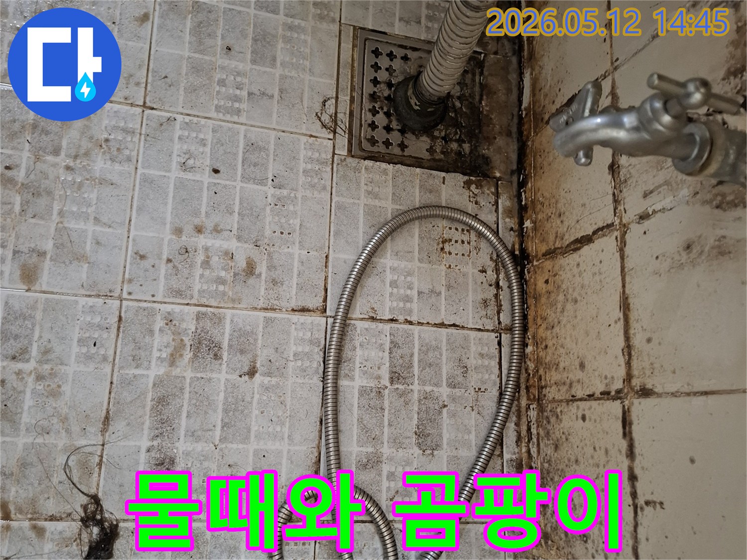 오래된-욕실-바닥-타일-틈새와-배수구-주변에-심하게-발생한-물때와-곰팡이가-누수-문제를-명확히-보여주는-사진입니다