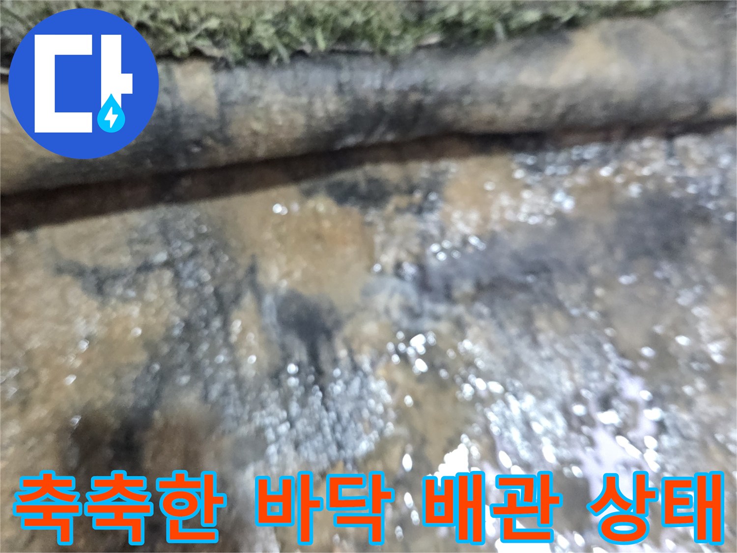 배관 주변의 물고임-하수관 누수 의심 부위