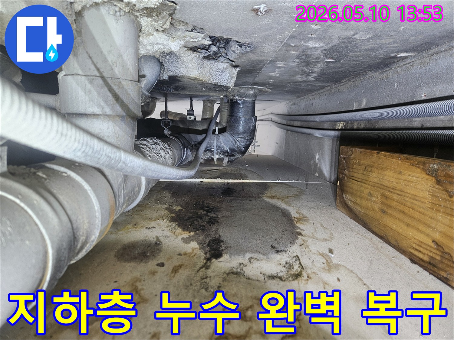 일산동구-주택-지하층-누수로-인한-물고임-현장-전문-기술로-완벽-복구