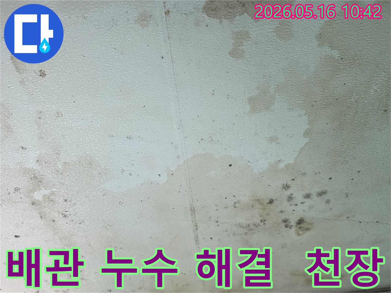 누수로-인해-물에-젖고-곰팡이가-핀-천장-표면의-클로즈업-사진