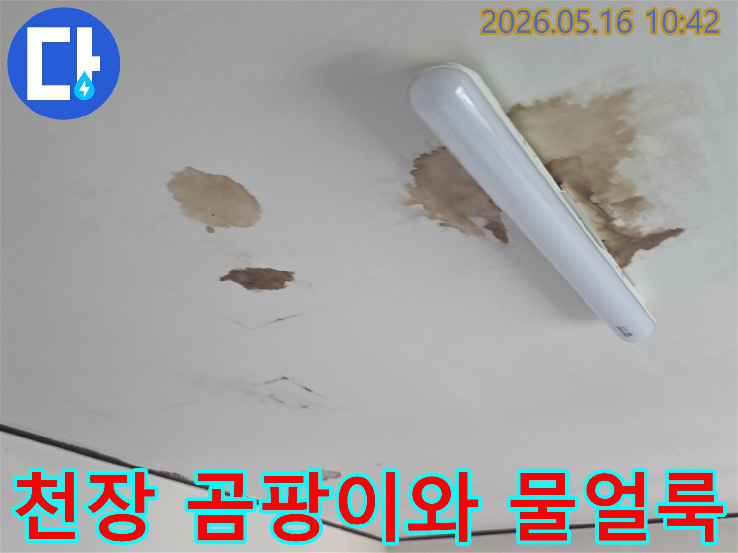 천장-도배지에-스며든-물얼룩의-범위를-파악하는-이미지