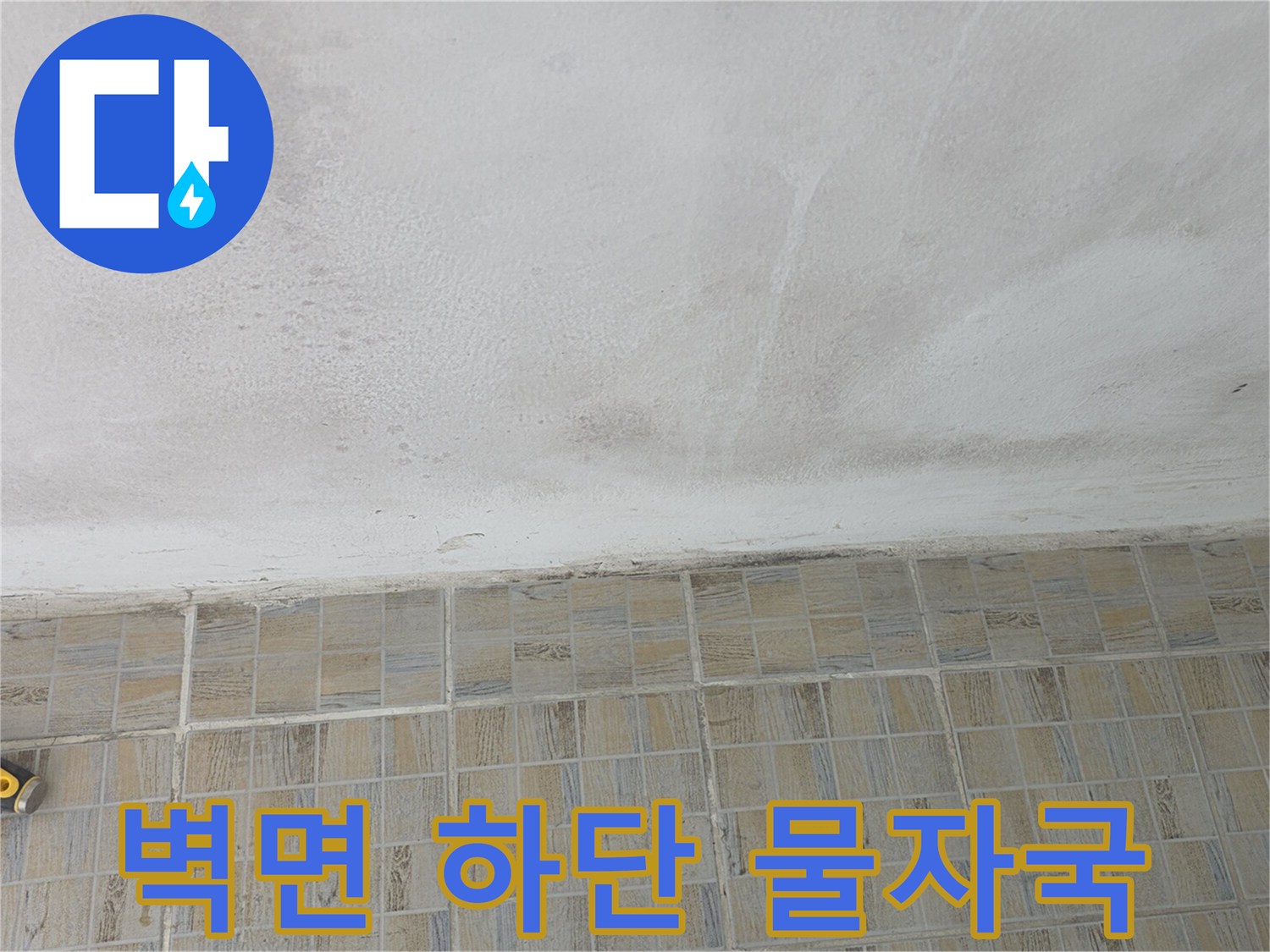 벽면-하단부에-발생한-광범위한-물스며듬-현상