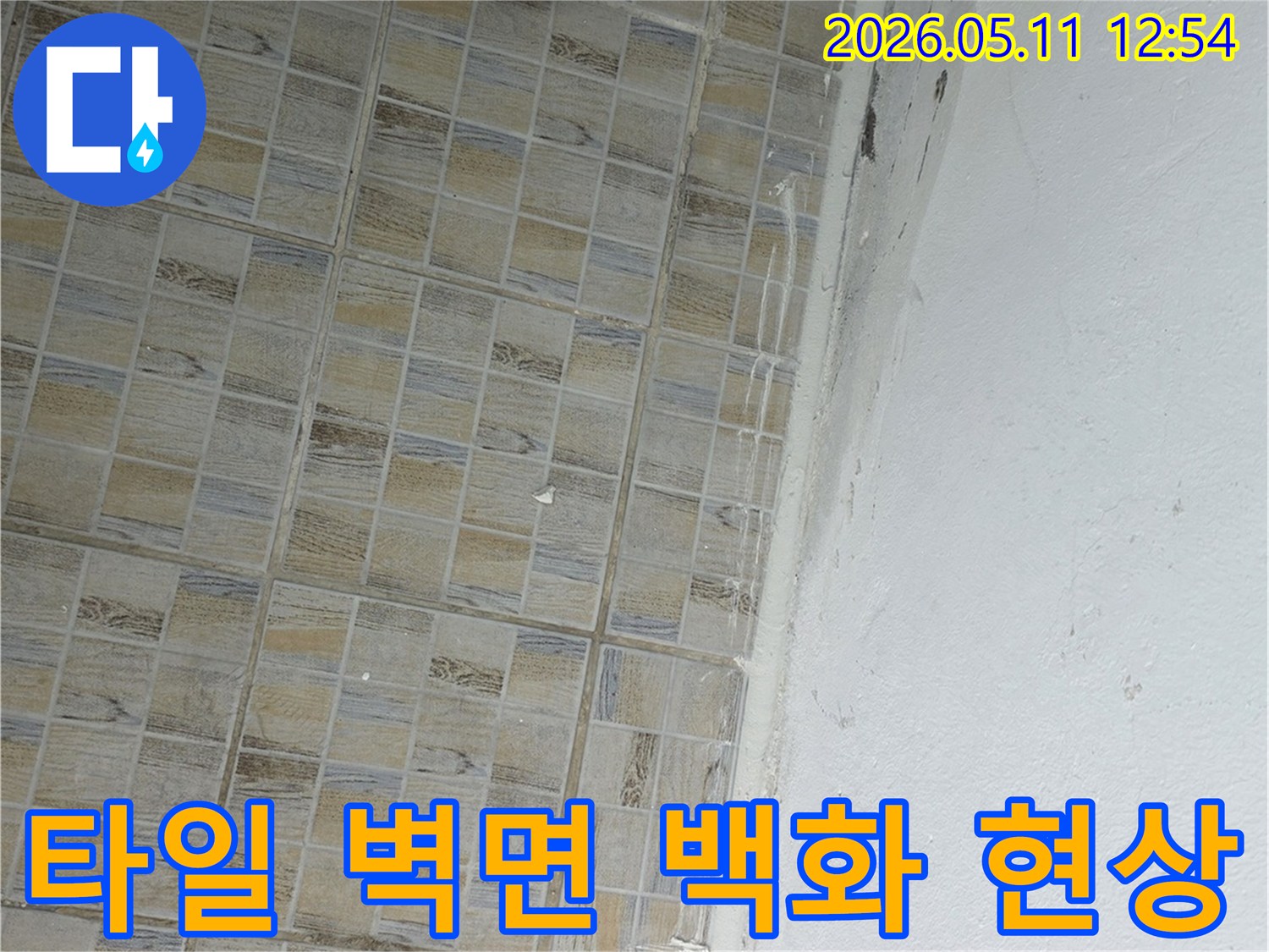 이 이미지는-서울 양천구 신안파크아파트-화장실의-타일-경계에서-발생한-백화현상과-누수-흔적을-보여줍니다.