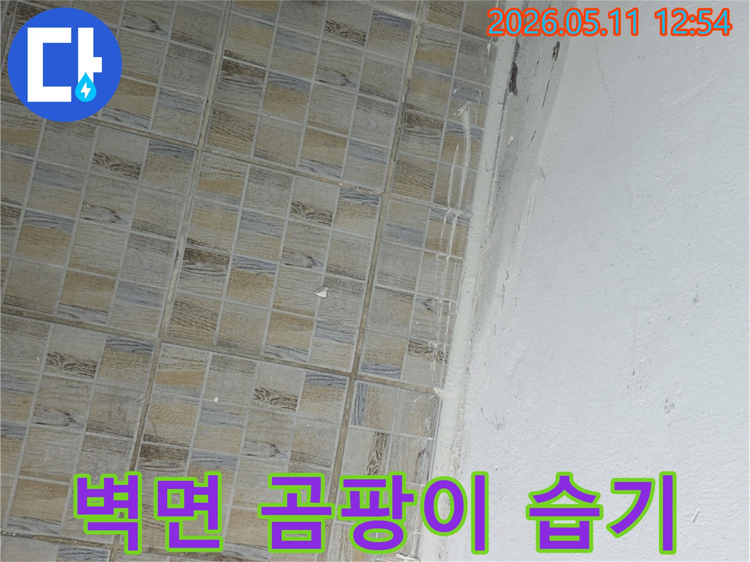이 이미지는-서울 양천구 신안파크아파트의-벽면-하단에서-누수로-인해-발생한-곰팡이와-습기-문제를-보여줍니다.