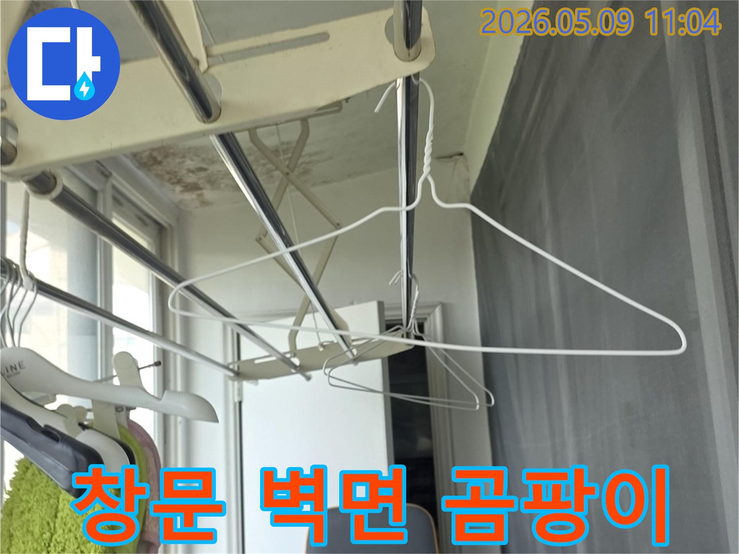 창문 주변 벽면에 곰팡이가 번식하고-벽지가 손상된 아파트 내부 모습