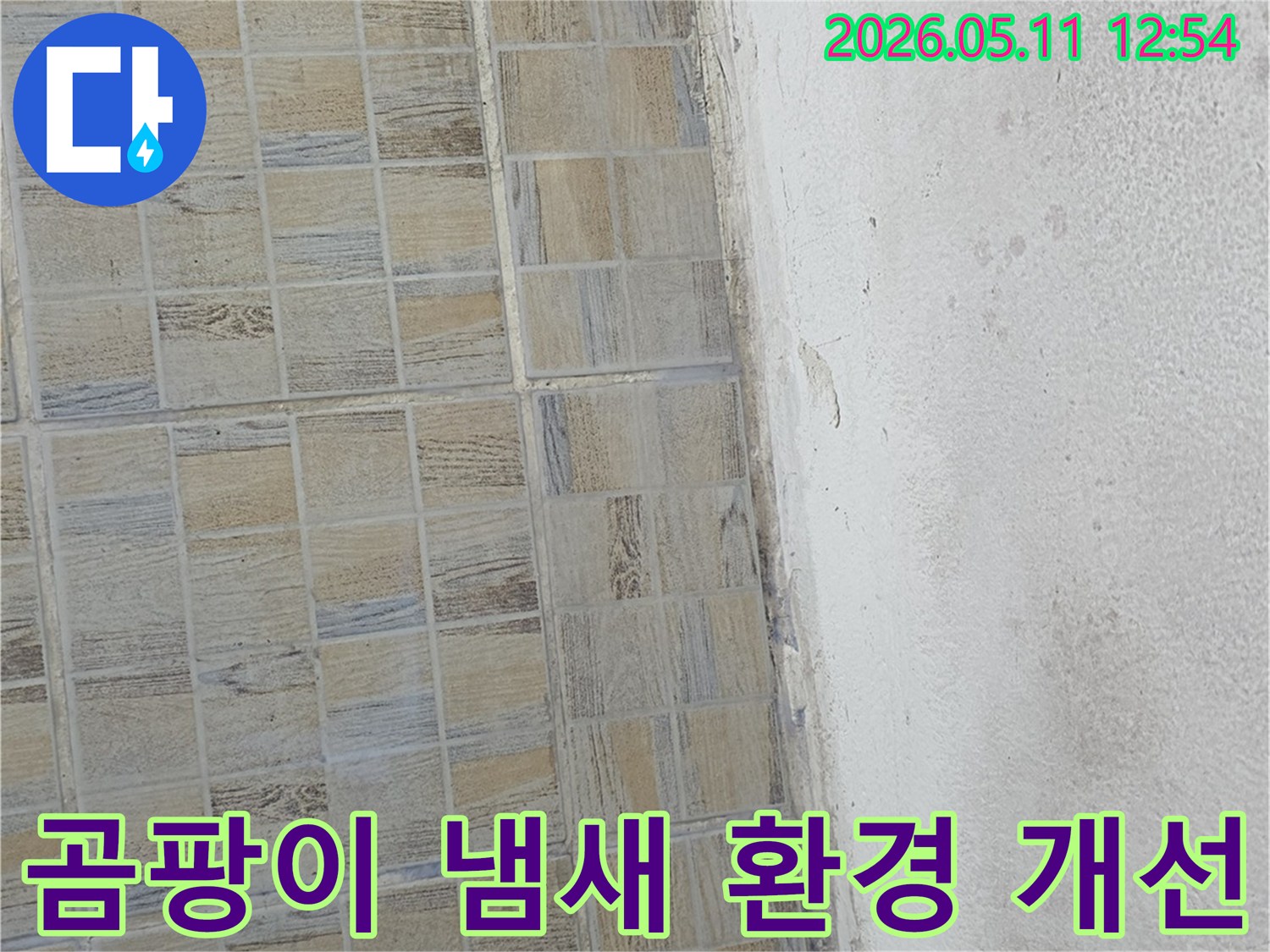 천장-곰팡이-냄새-제거-환경-개선-누수-해결-필수