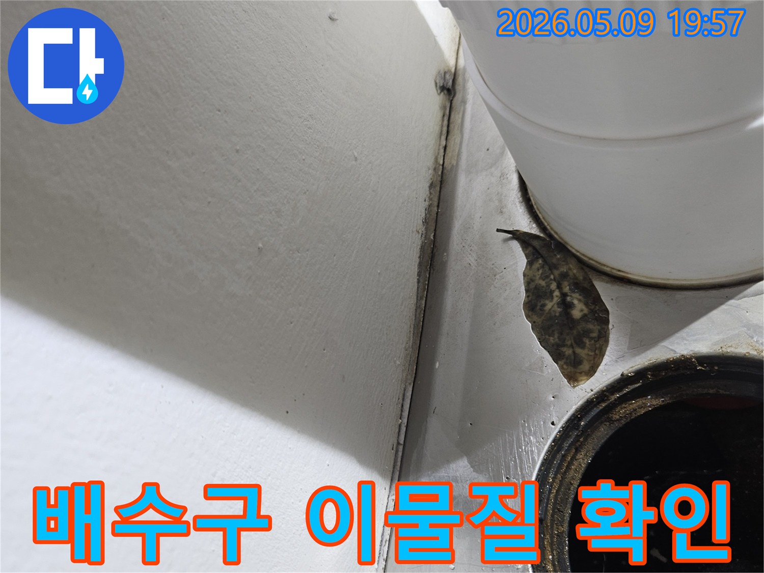 이 배수구 주변에는 잎사귀와-오염 물질이 보이며-이는 배관 막힘이나-누수 가능성을 시사합니다.