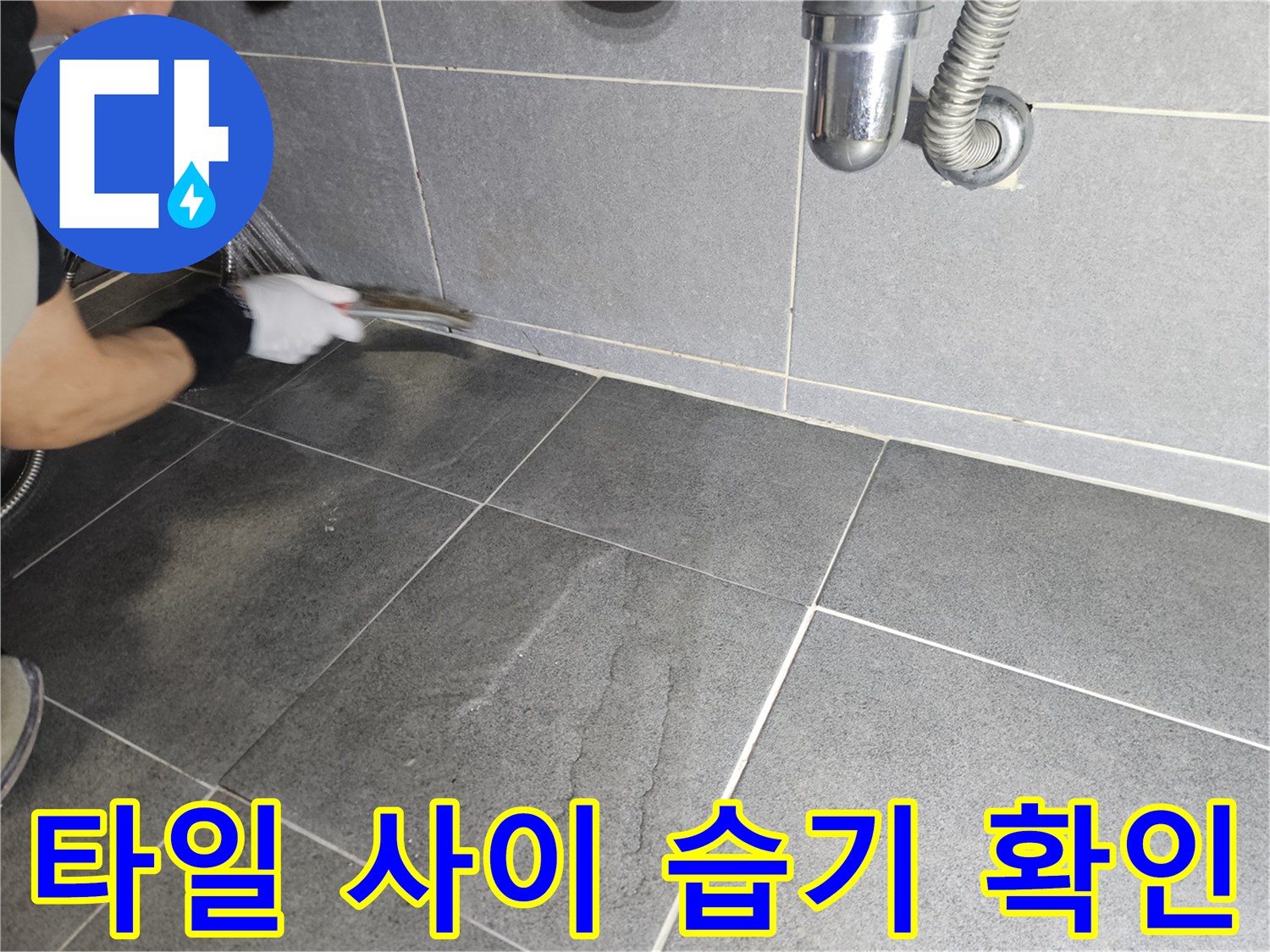 화장실 바닥-타일 틈새의 변색 부위 정밀 조사