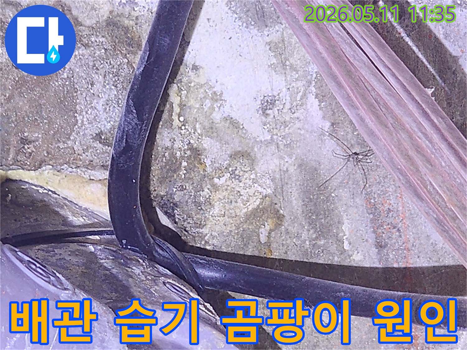 배관-주변에-발생한-습기와-곰팡이의-원인을-분석하기-위해-촬영된-누수-현장-사진