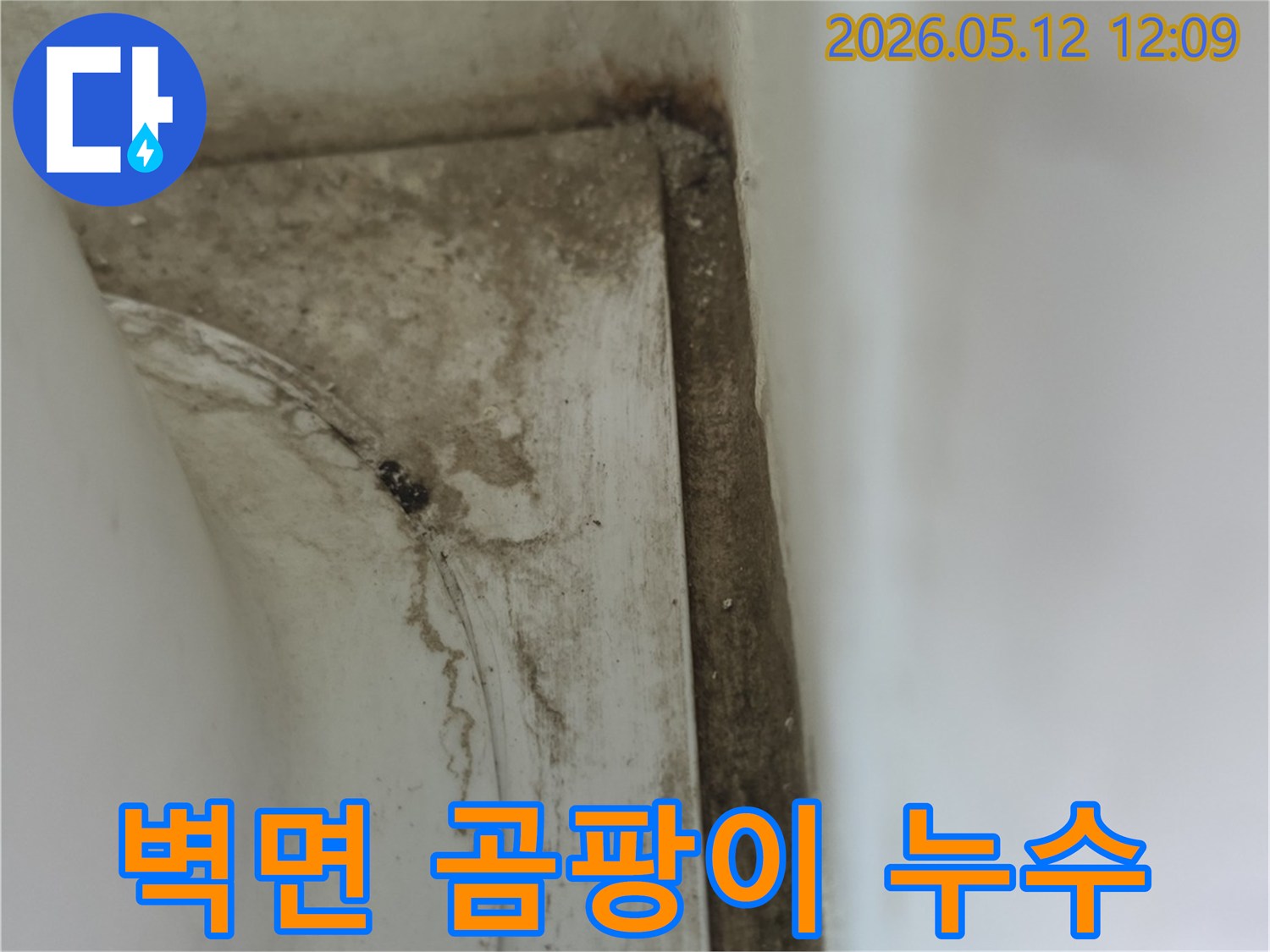 욕실-벽면-모서리에서-확인된-오래된-누수로-인한-물때와-곰팡이-자국