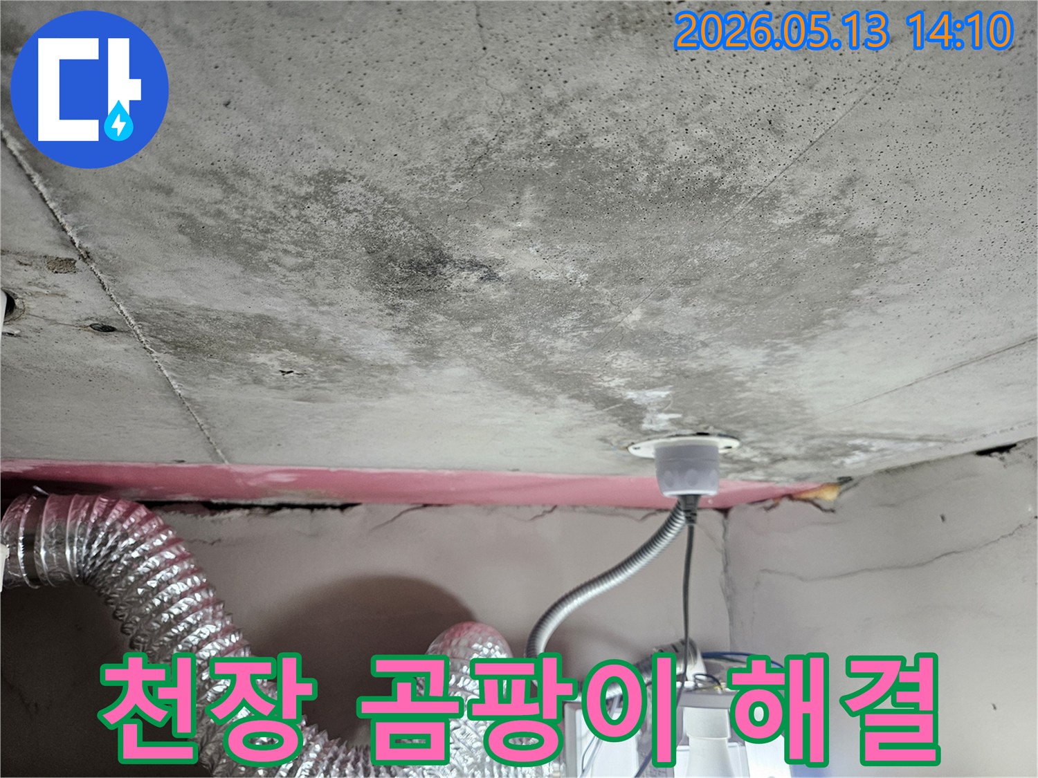 누수로 인해 발생한-천장 콘크리트의 곰팡이와-물얼룩을 보여주는 현장 사진입니다