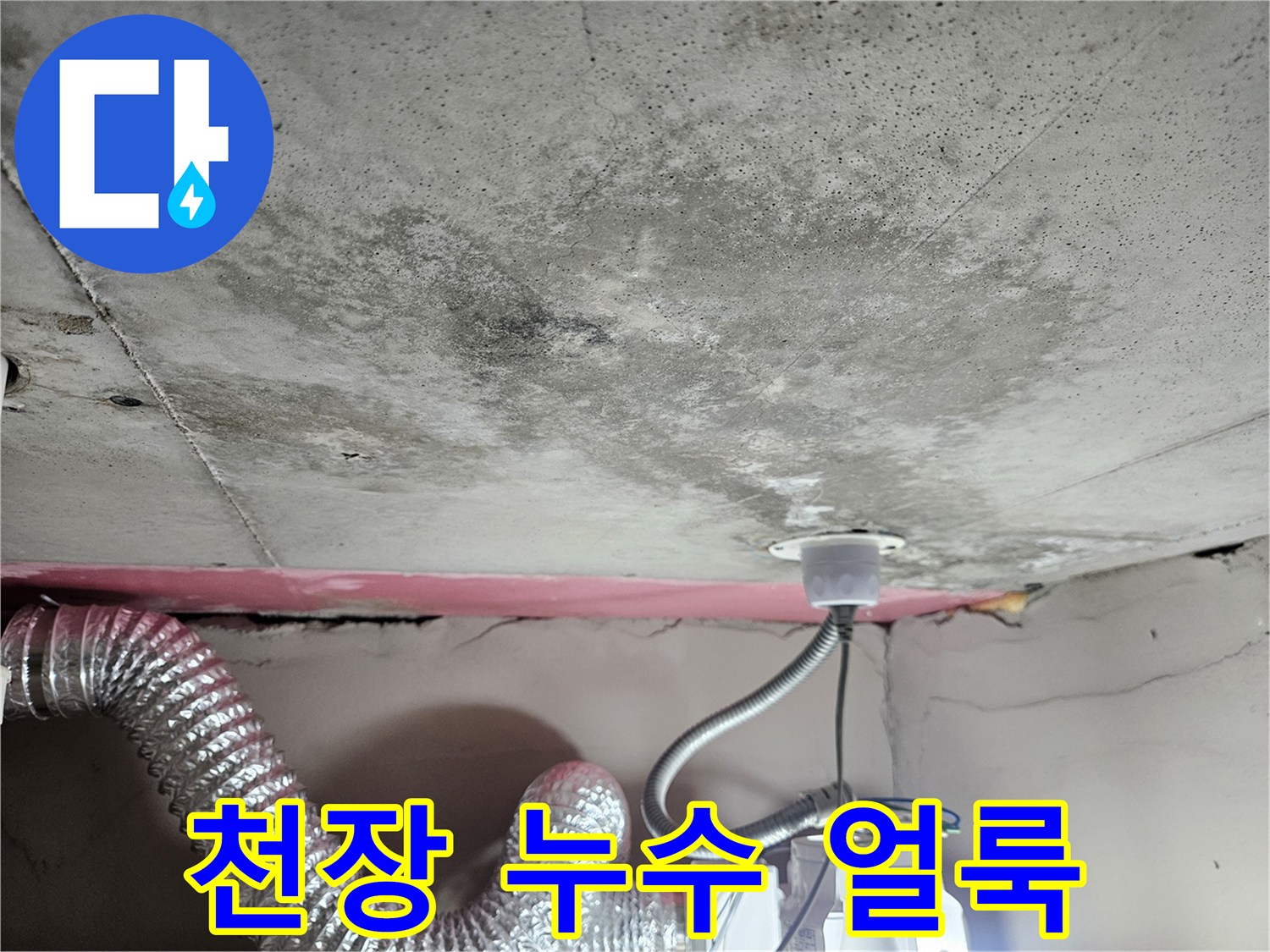 물샘 흔적이 선명한 천장-곰팡이가 번진 마감재 표면