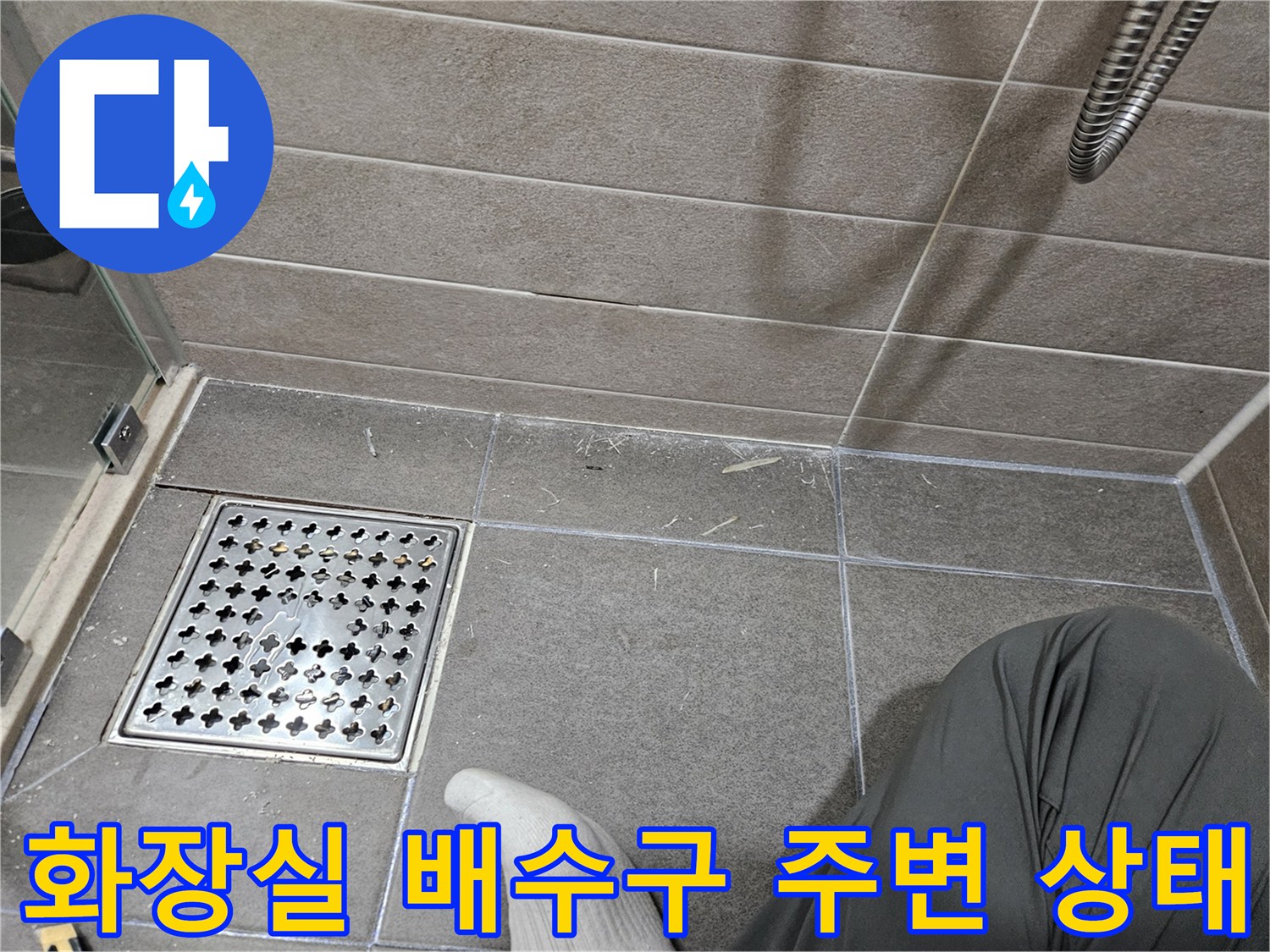 서산 성연면 화장실 바닥의 배수구 유가와 타일 틈새 모습입니다.