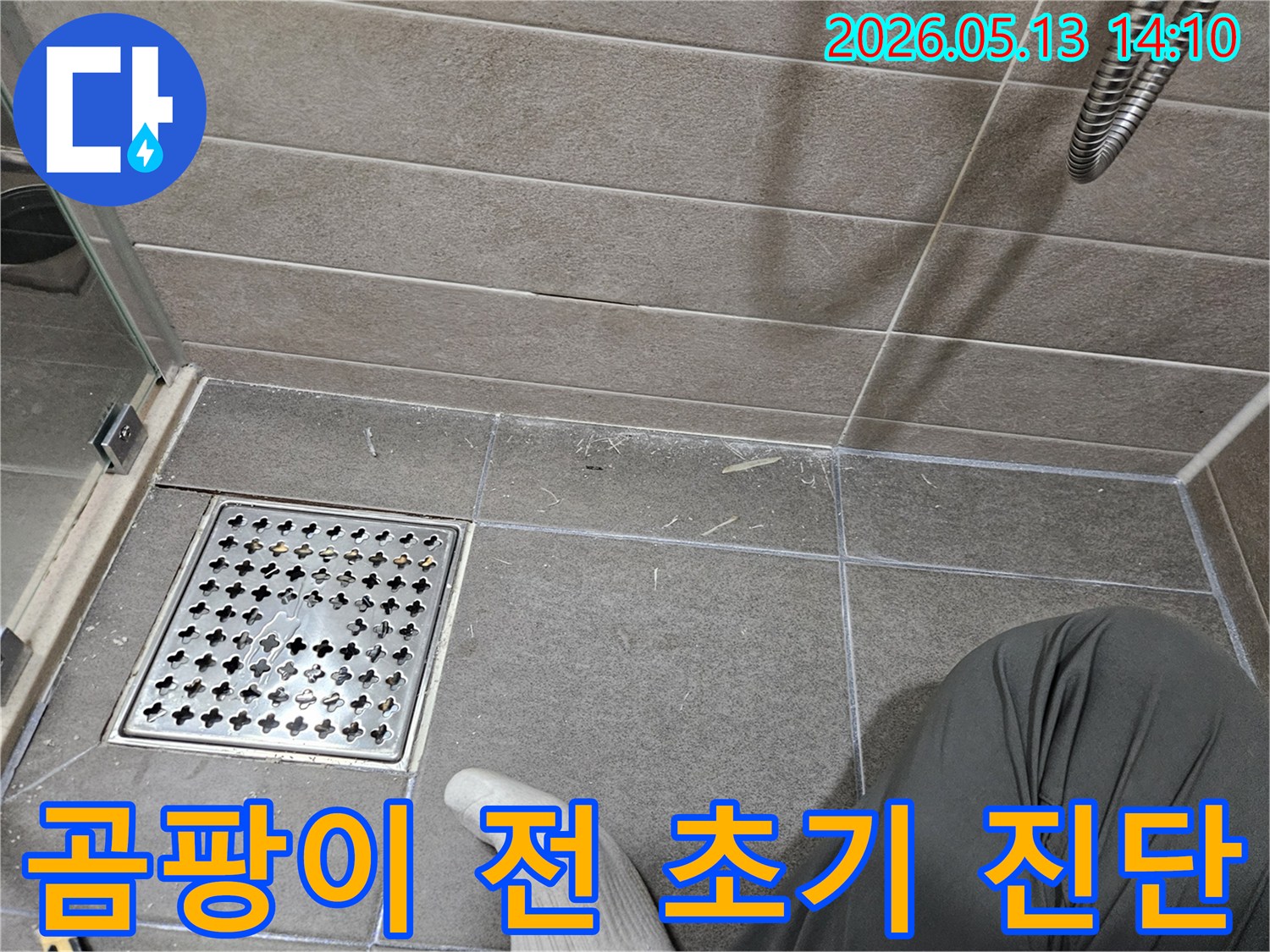 서산시-성연면-아파트-화장실-바닥-누수-곰팡이-발생-전-초기-진단-현장