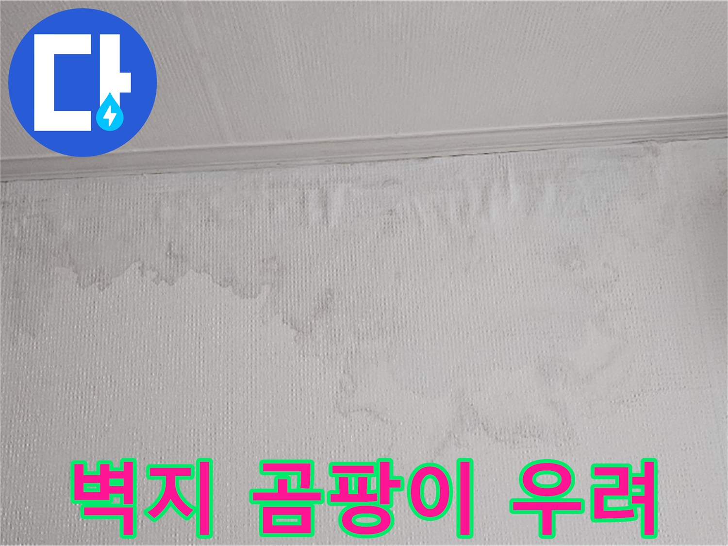 물이 새어 벽지가 젖고 곰팡이가 생길 수 있는 환경입니다-건강과 건물의 안전을 위해 빠른 조치가 필요합니다
