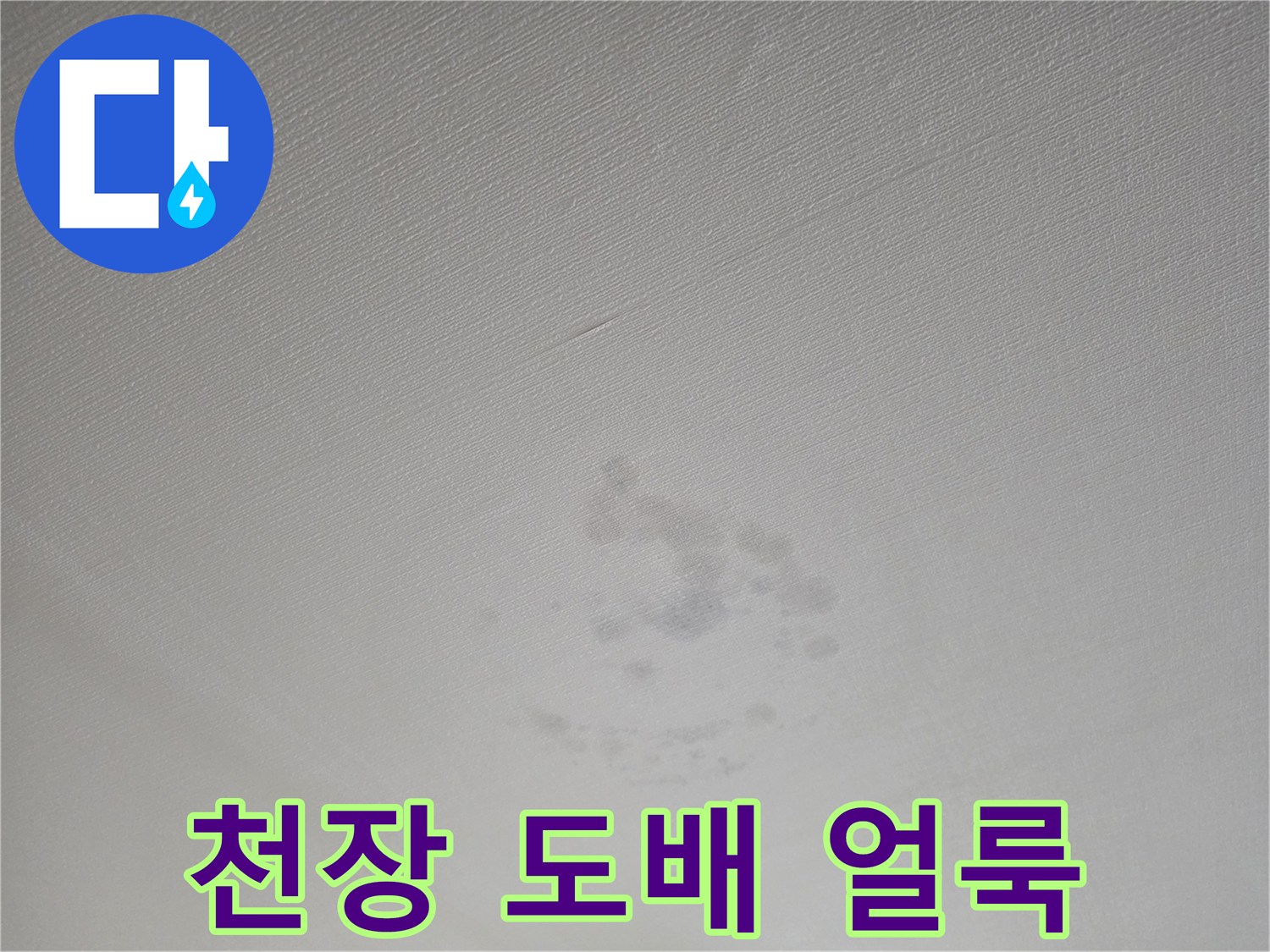 도배지가 젖어서 변색된 천장 부위의 모습
