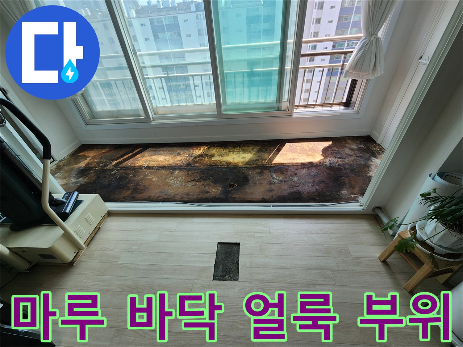 창가 밑 마루 바닥에 나타난 넓은 범위의 젖은 흔적과 변색된 모습