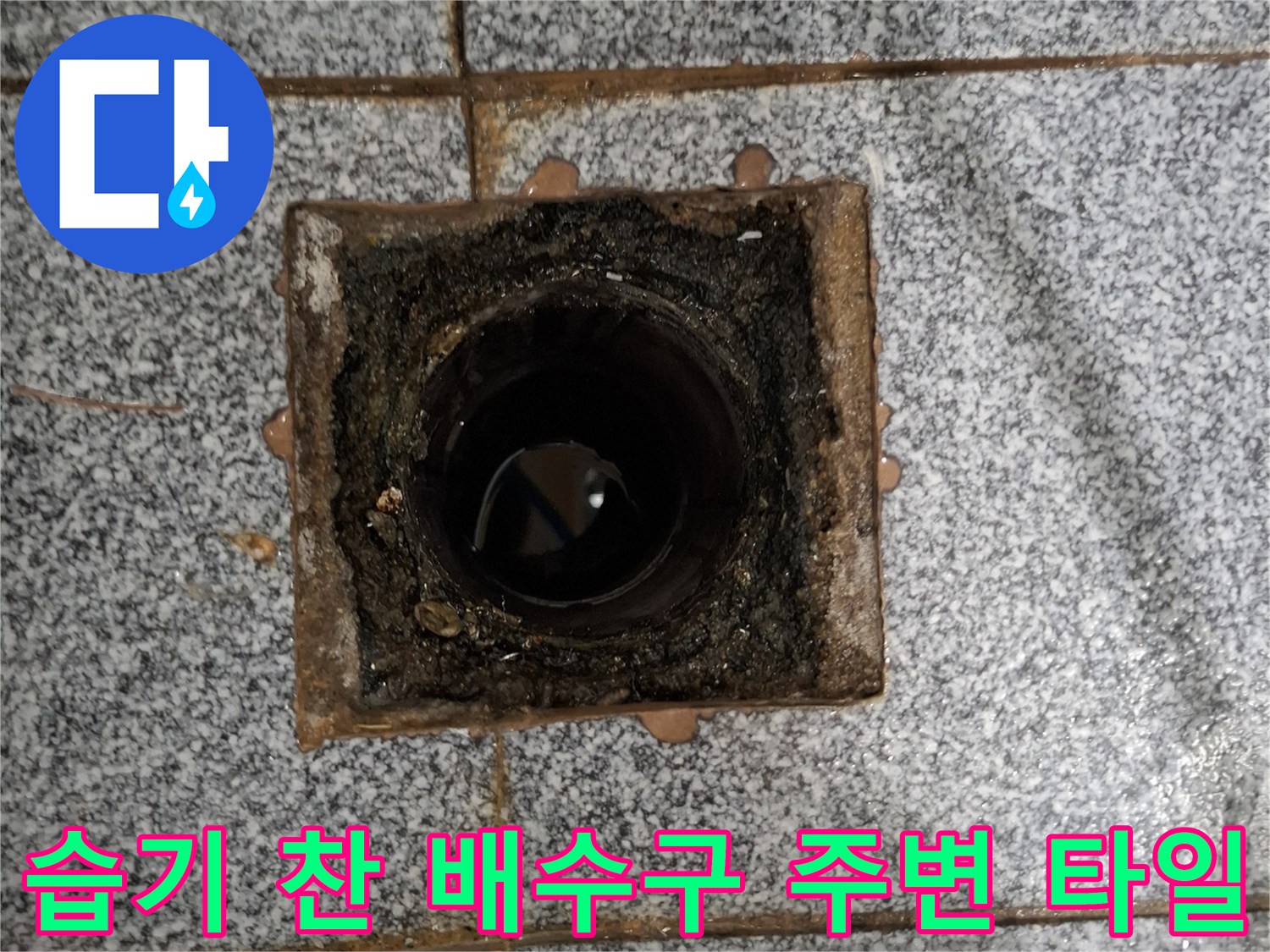물기가 가득한 화장실 배수구와 오염된 주변부