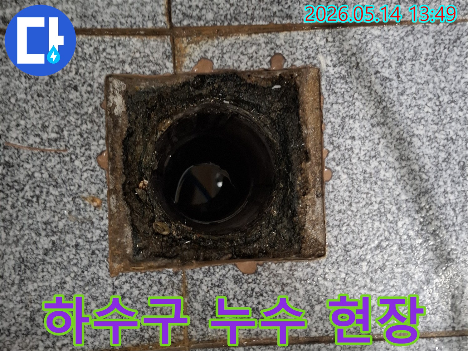 화장실-하수구-누수는-악취와-함께-발생하는-경우가-많습니다-누수-엔지니어가-배수구-내부-상태를-점검하며-원인을-찾고-있습니다.