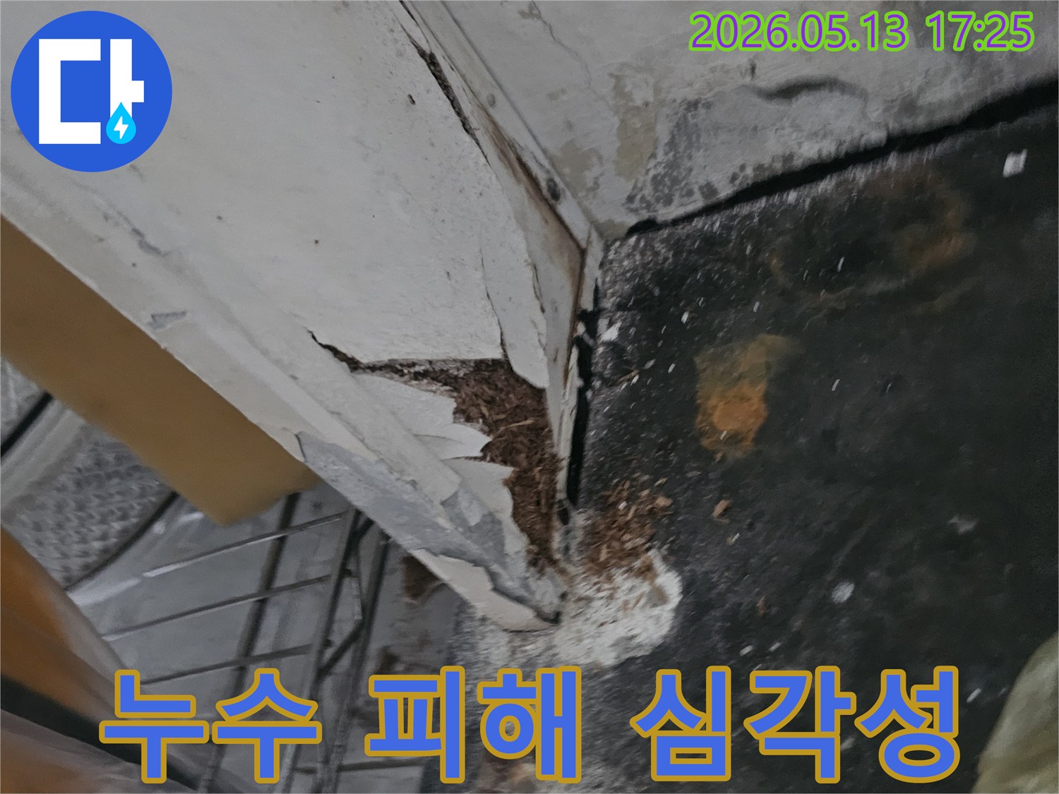 천장 누수로 인해 벽면이 젖고 페인트가 벗겨지며-곰팡이가 발생한 심각한 아파트 누수 현장입니다-신뢰할 수 있는 공사가 시급합니다
