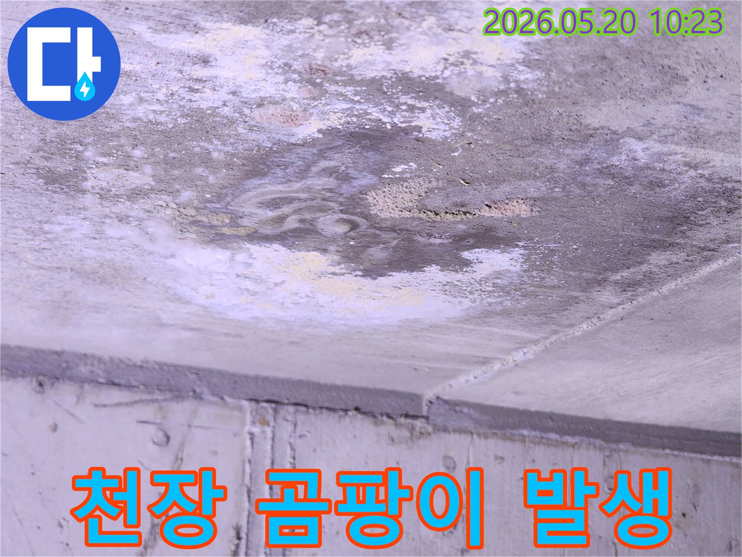 천장-누수로-인해-발생한-콘크리트의-습윤-상태와-곰팡이-번식을-보여주는-이미지입니다