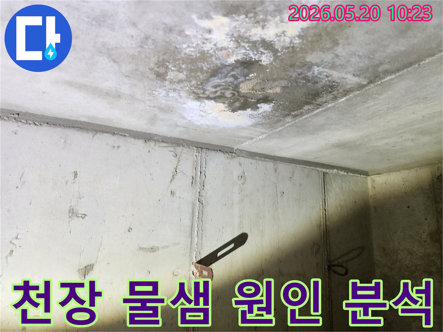 천장에서 물이 새어-콘크리트 표면에 생긴-물자국과 곰팡이를-정확히 분석하는 모습