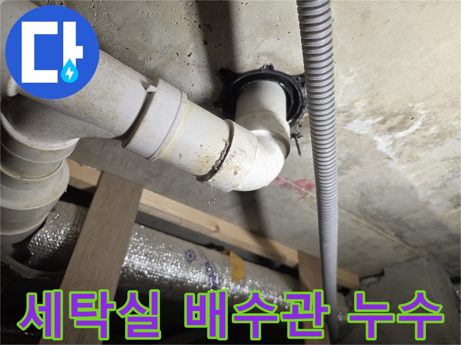 서대문구-세탁실-배수관-연결부위-누수-상태