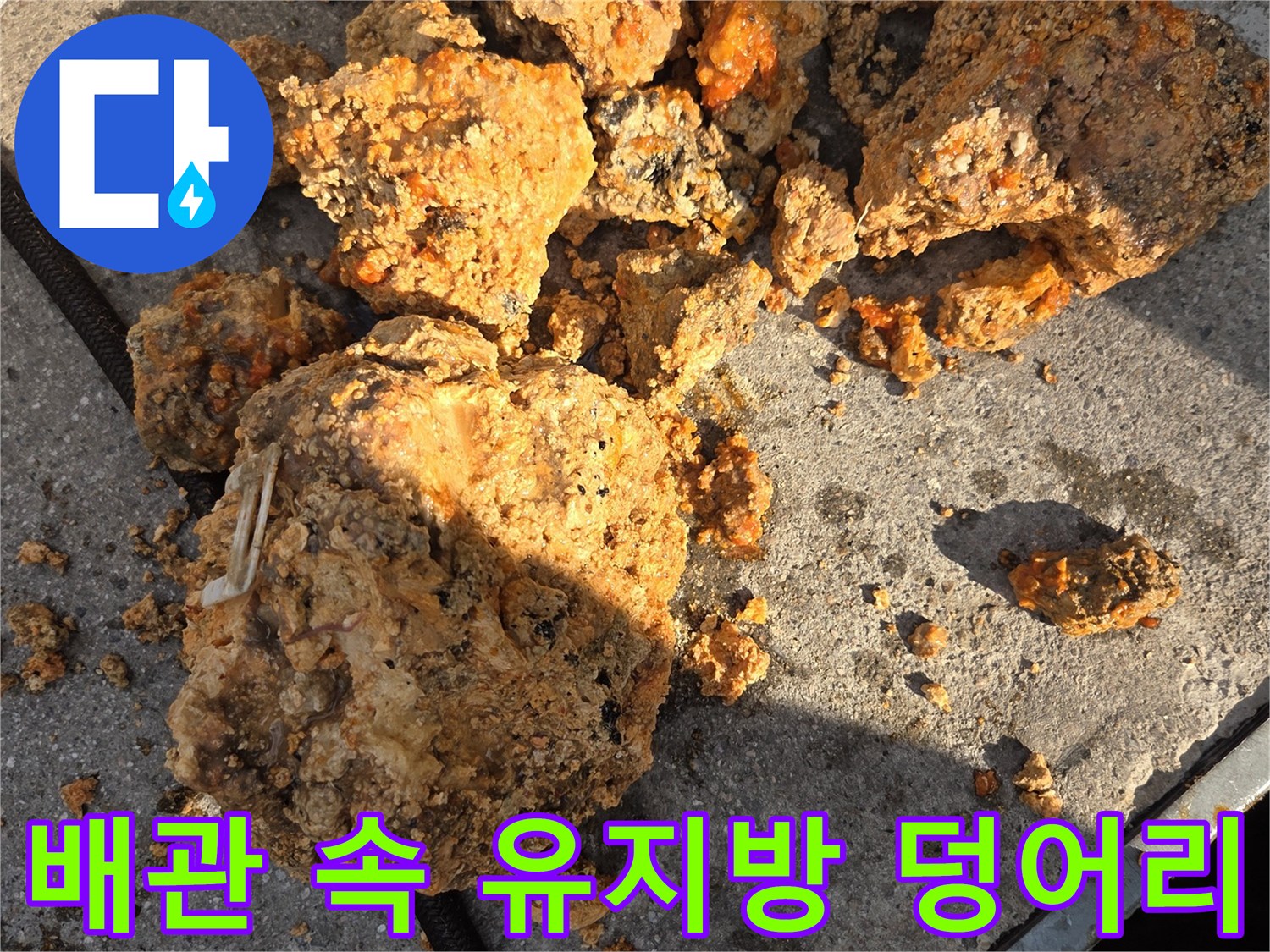 고압세척으로 추출된-커다란-유지방-덩어리와-슬러지