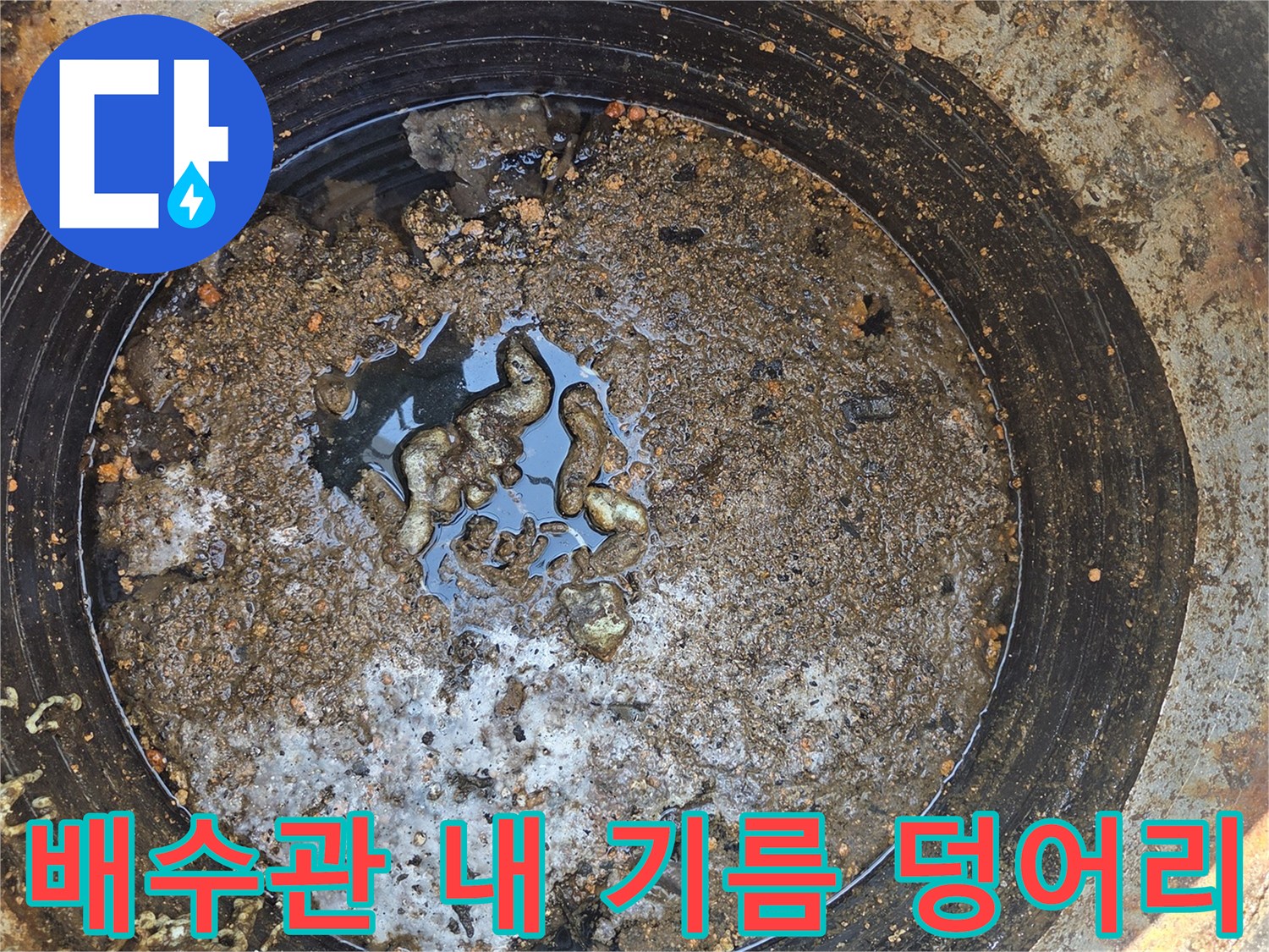 집수정 물 위에 떠 있는 커다란 유지방 덩어리와 오물 잔해