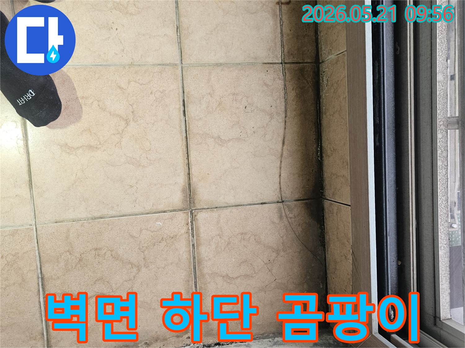 벽면 하단과-타일 경계에-발생한-심각한 곰팡이와-오염
