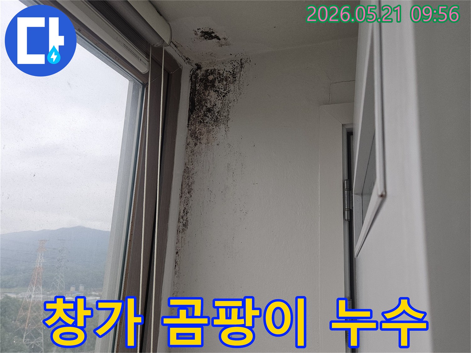 아파트 창문 주변 벽과 천장 모서리에 발생한-검은 곰팡이-누수-결로-피해 현장 사진