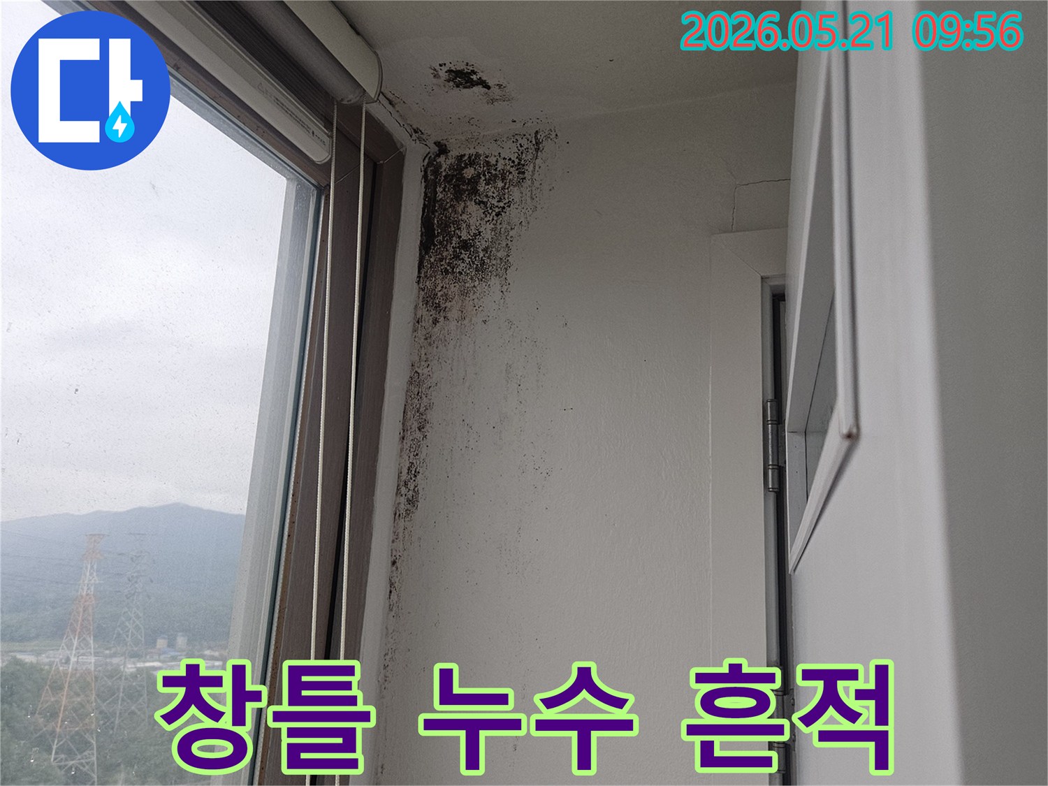 창가 벽면과 천장 경계에 심각하게 번식한-검은색 곰팡이-습기-오염-상태를 보여주는 사진