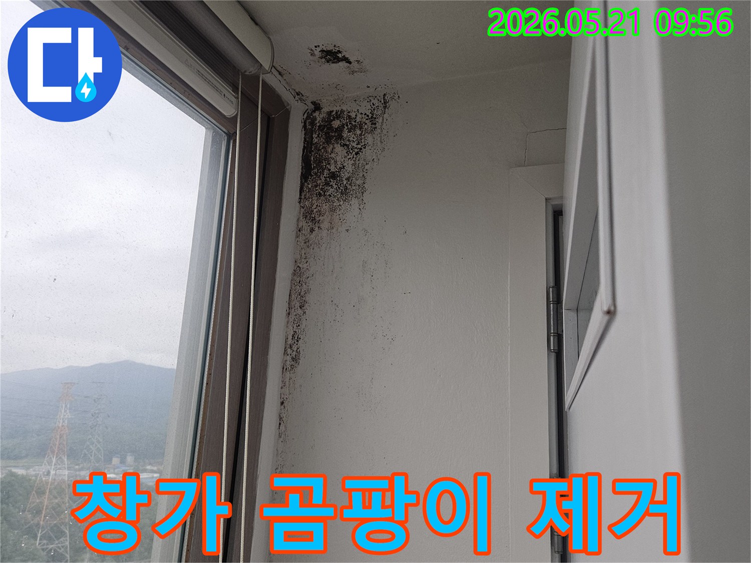 창문 상단 벽과 천장 모서리에 심각하게 번식한-검은 곰팡이-습기-누수-피해 현장
