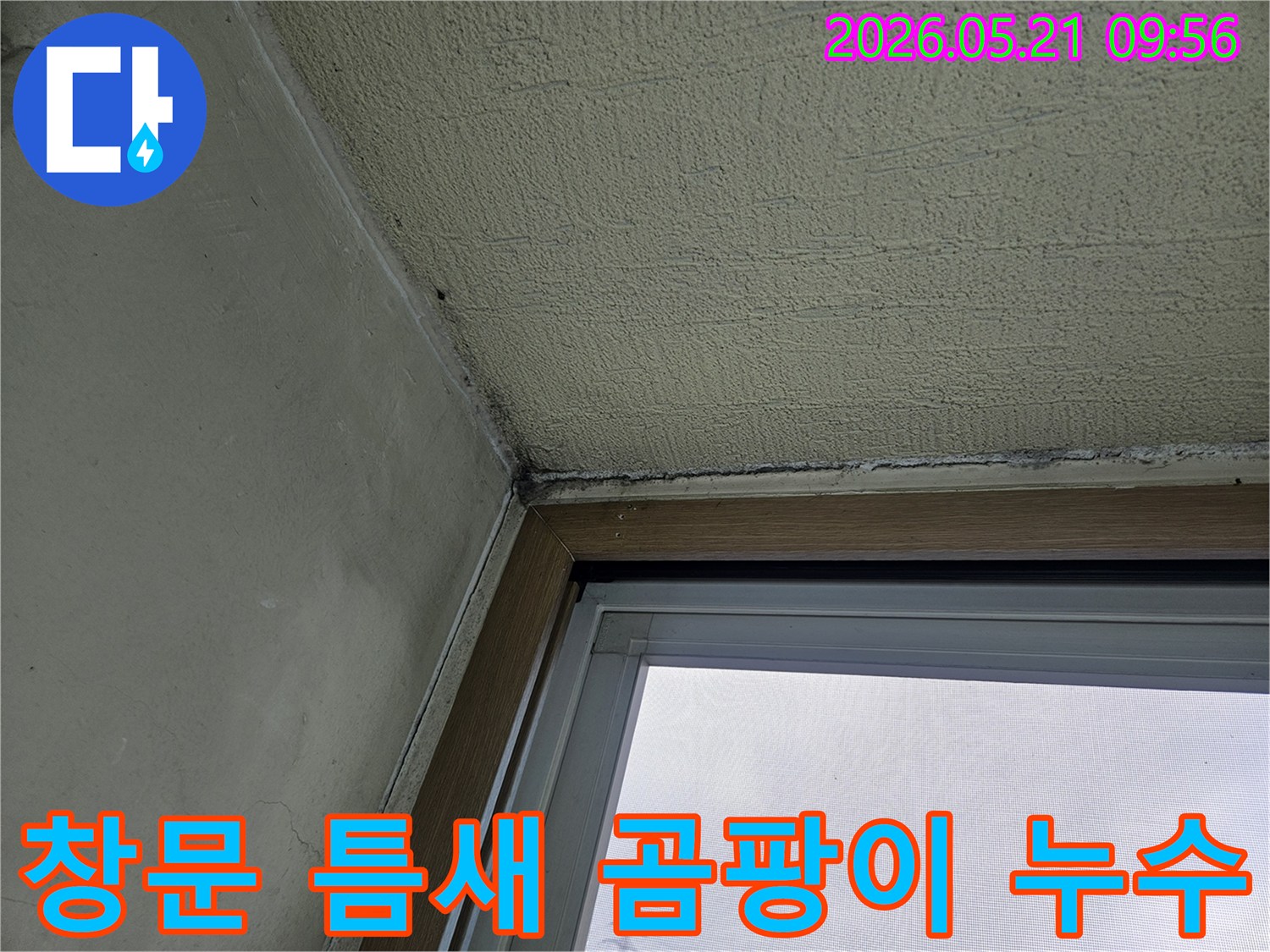 창문 틈새와 벽이 만나는 곳에-발생한 곰팡이와-물기로 인한 손상을 보여주는-아파트 내부 벽면
