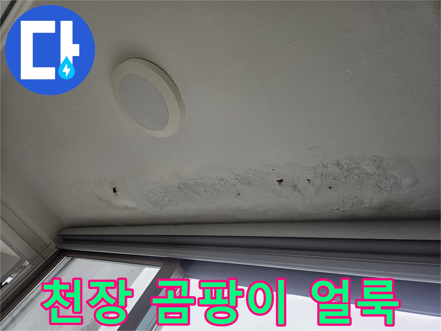 창문 하단 천장부의 누수 변색 및 곰팡이 발생 현황