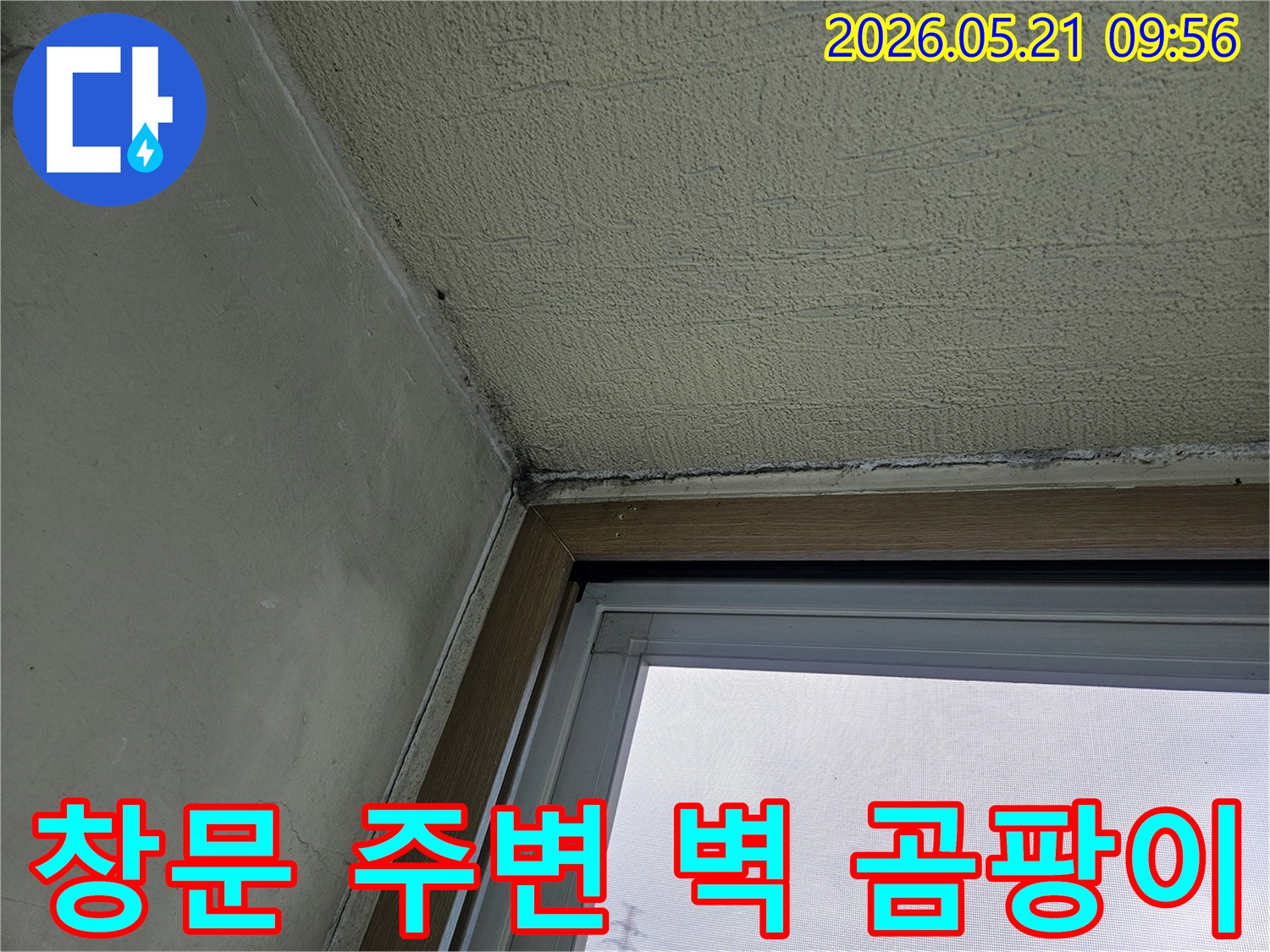 창문과 인접한 벽면에 발생한-곰팡이와-물기로 인한 손상을 보여주는-아파트 내부 벽의 모습