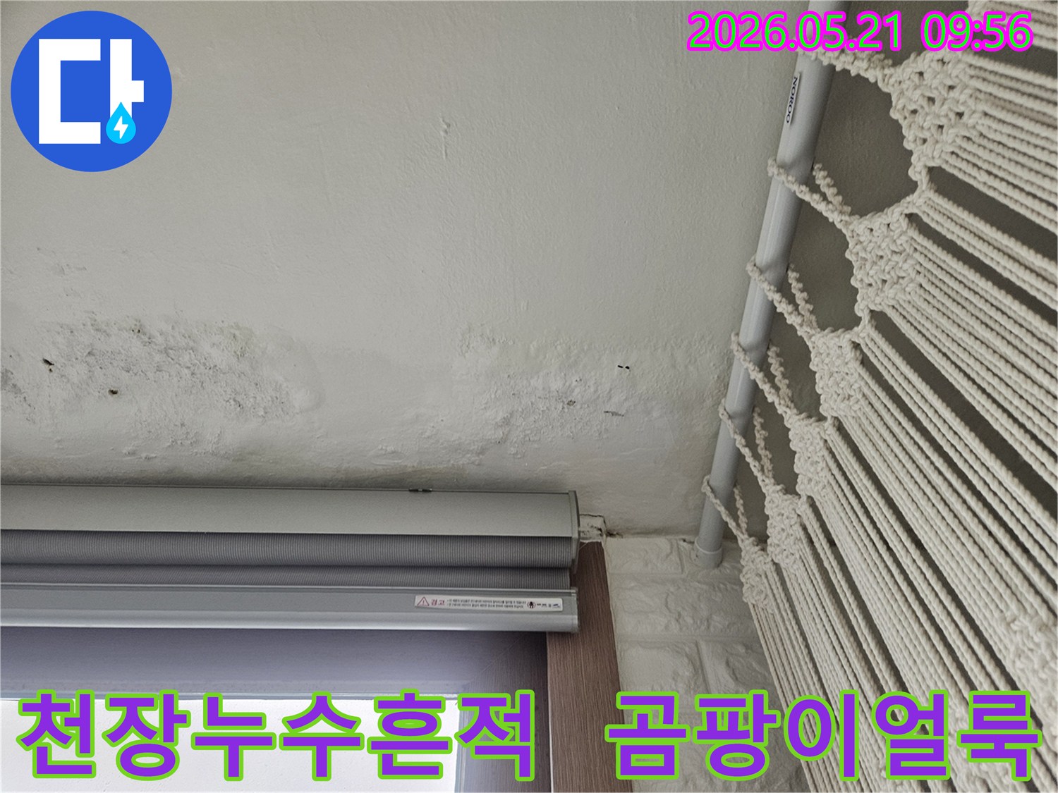 천장-누수-흔적과-곰팡이-얼룩-확인-사진