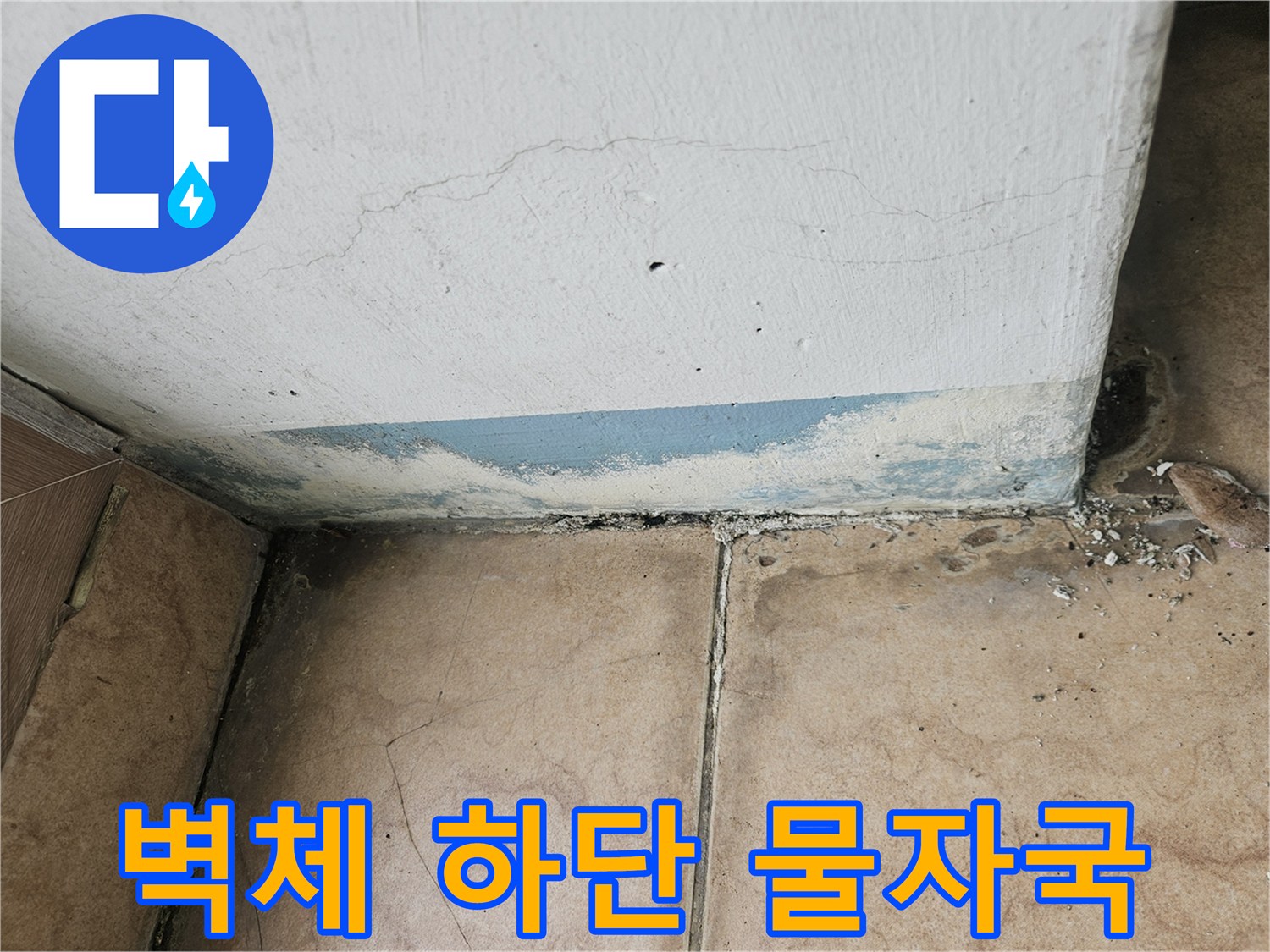 축축하게-젖어 있는-베란다 벽면의-하단부 모습