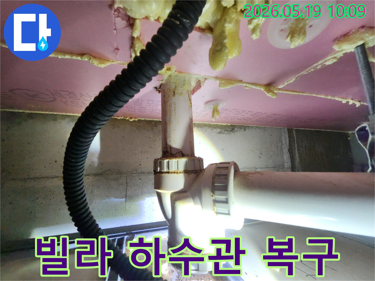 누수-전문가가-빌라-하수관-누수-현장을-정확히-진단하여-완벽하게-복구하는-모습