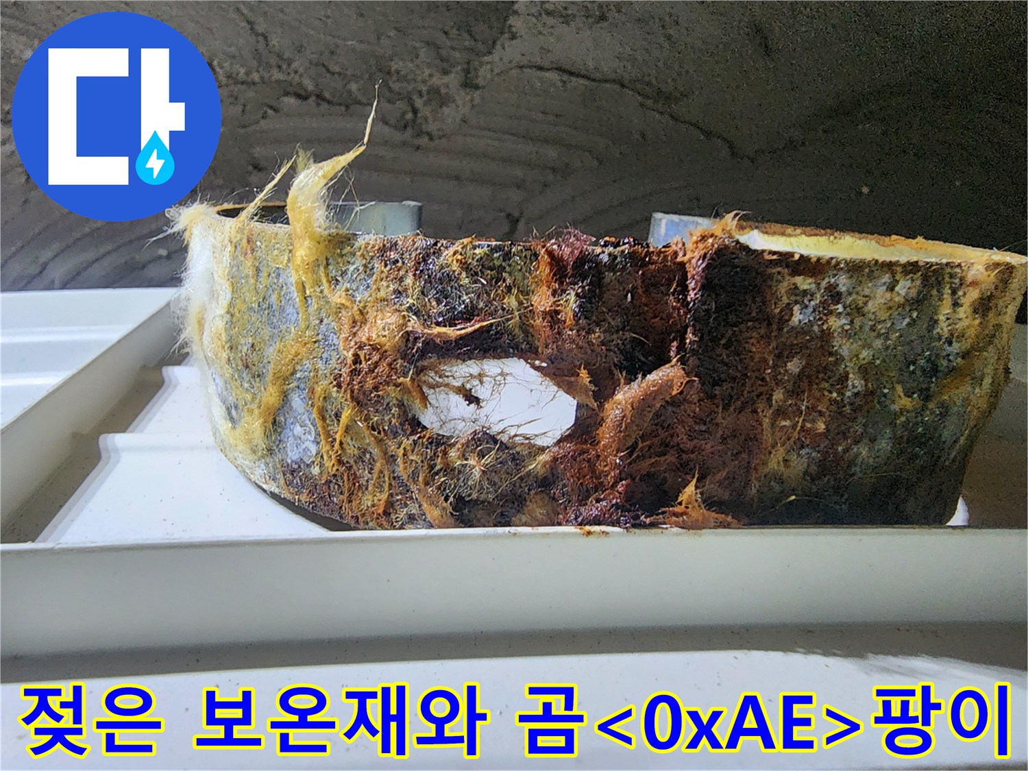 습기로 인해 젖은-배관 보온재