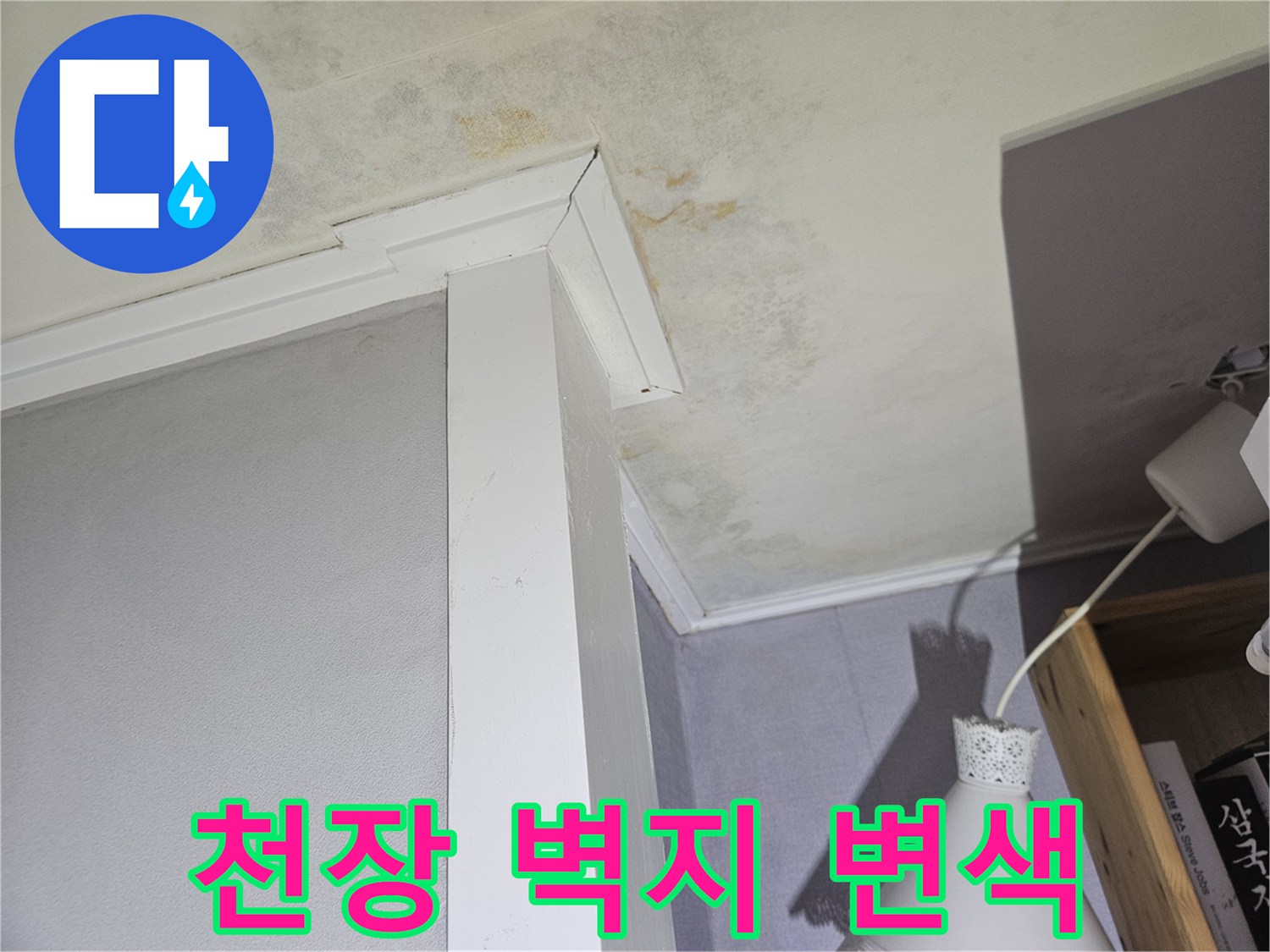강동구 아파트 천장-벽지 곰팡이 및 변색 현상