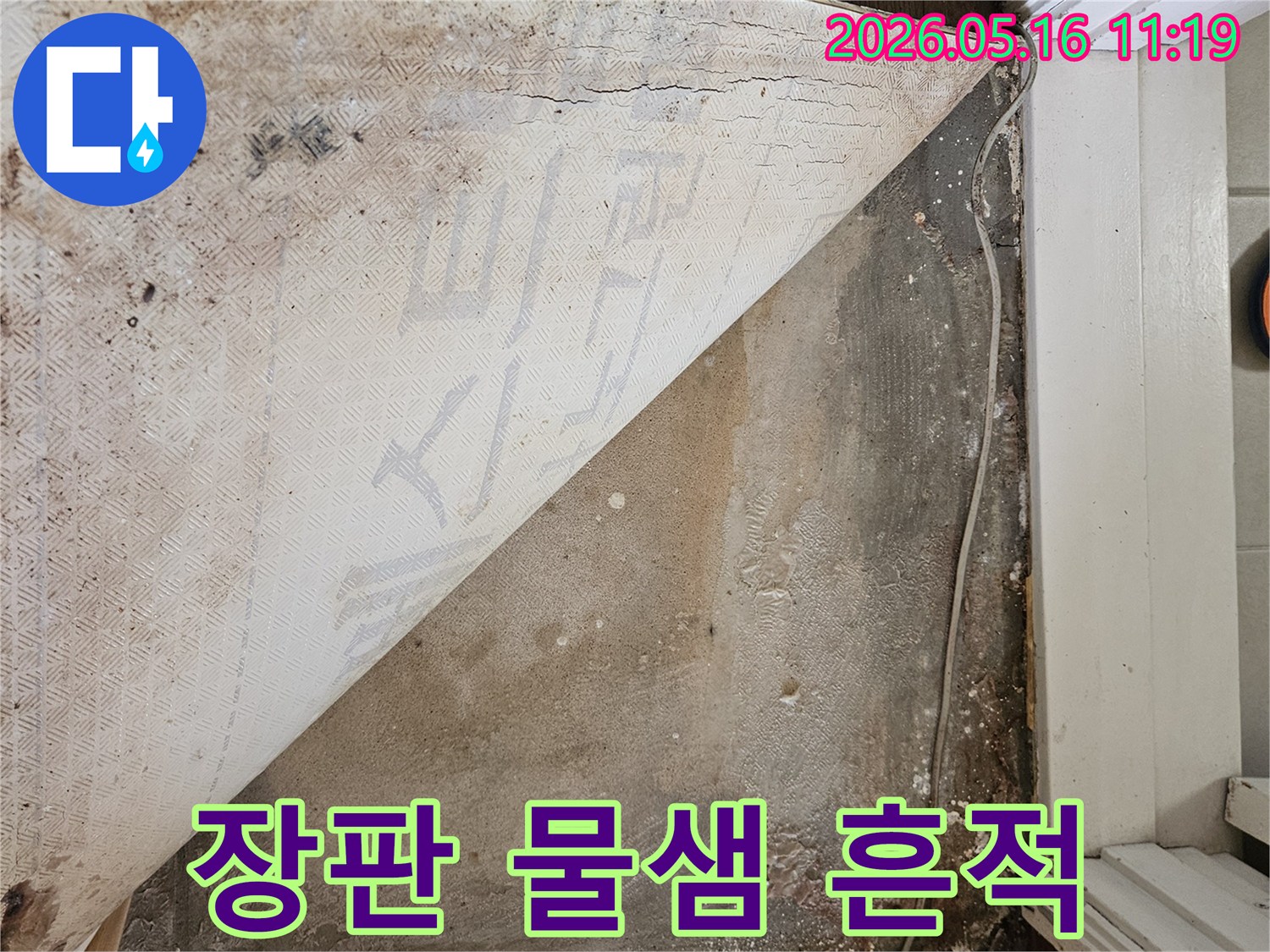 누수-엔지니어가-바닥재를-들어내어-확인한-장판-아래-물샘-흔적-발견-현장